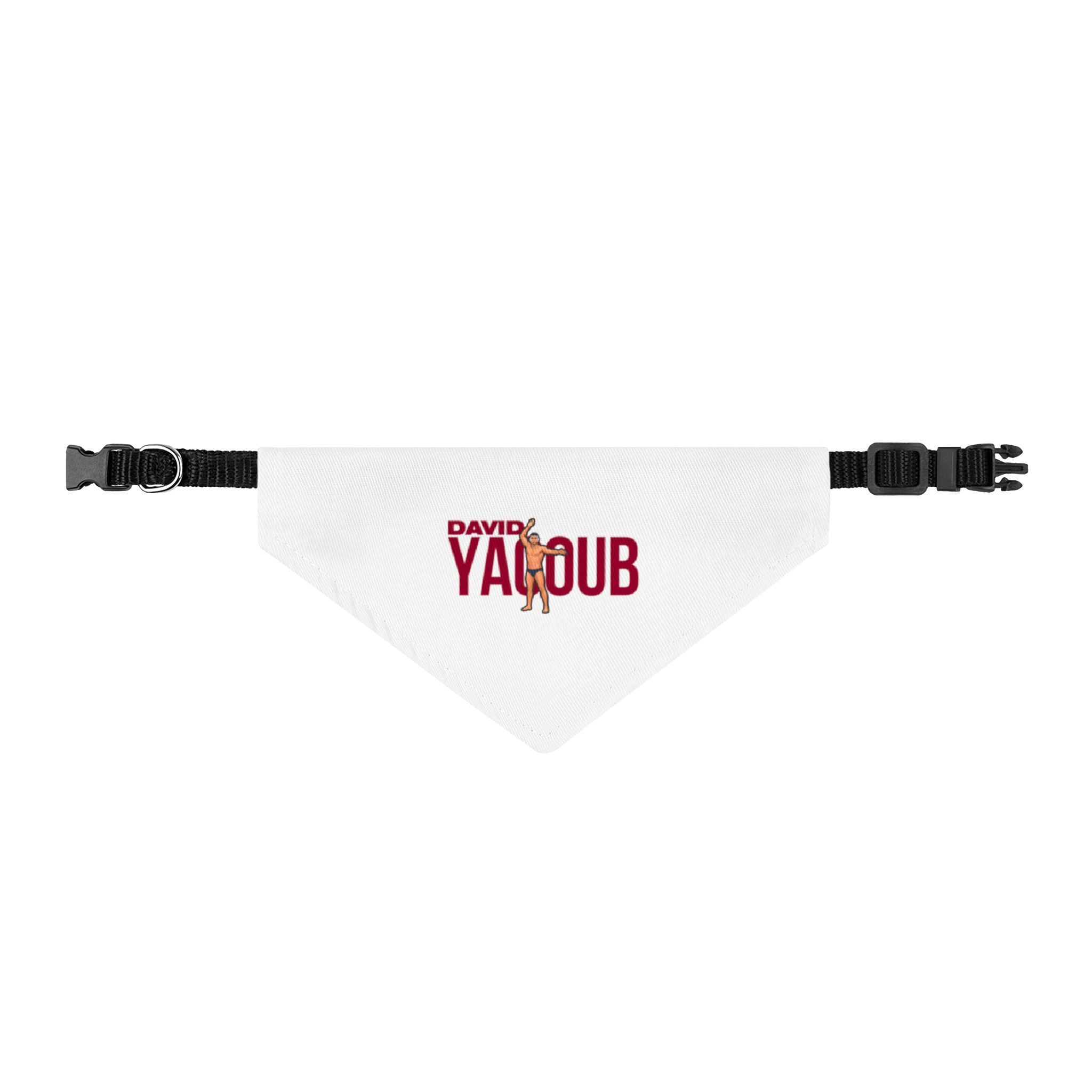 Pet Bandana — character_player_name in Classic