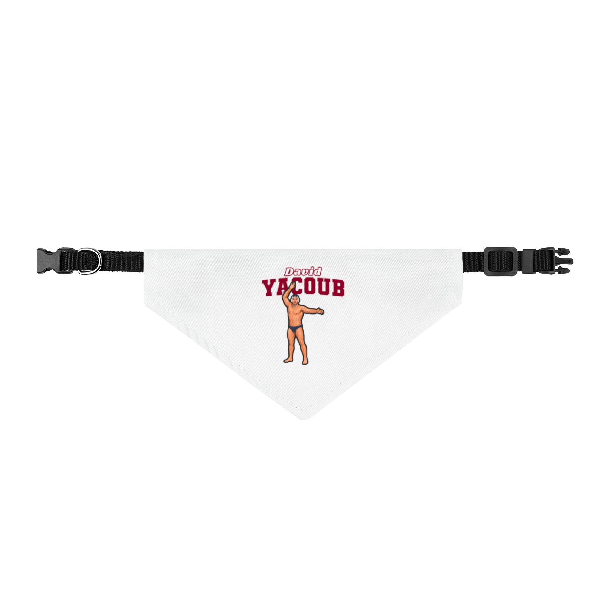 Pet Bandana — character_name_arch in Classic