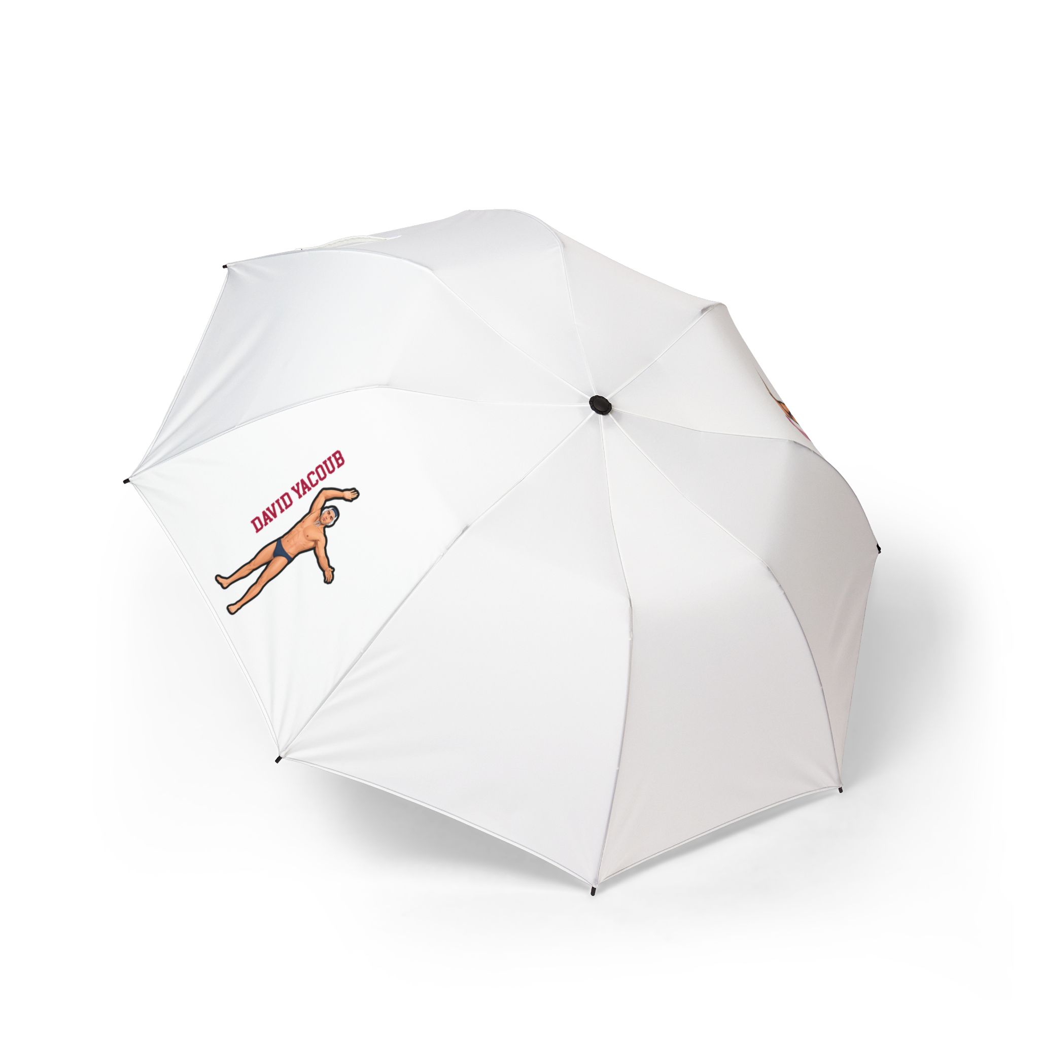 Foldable Umbrella — character_name_vertical in Classic