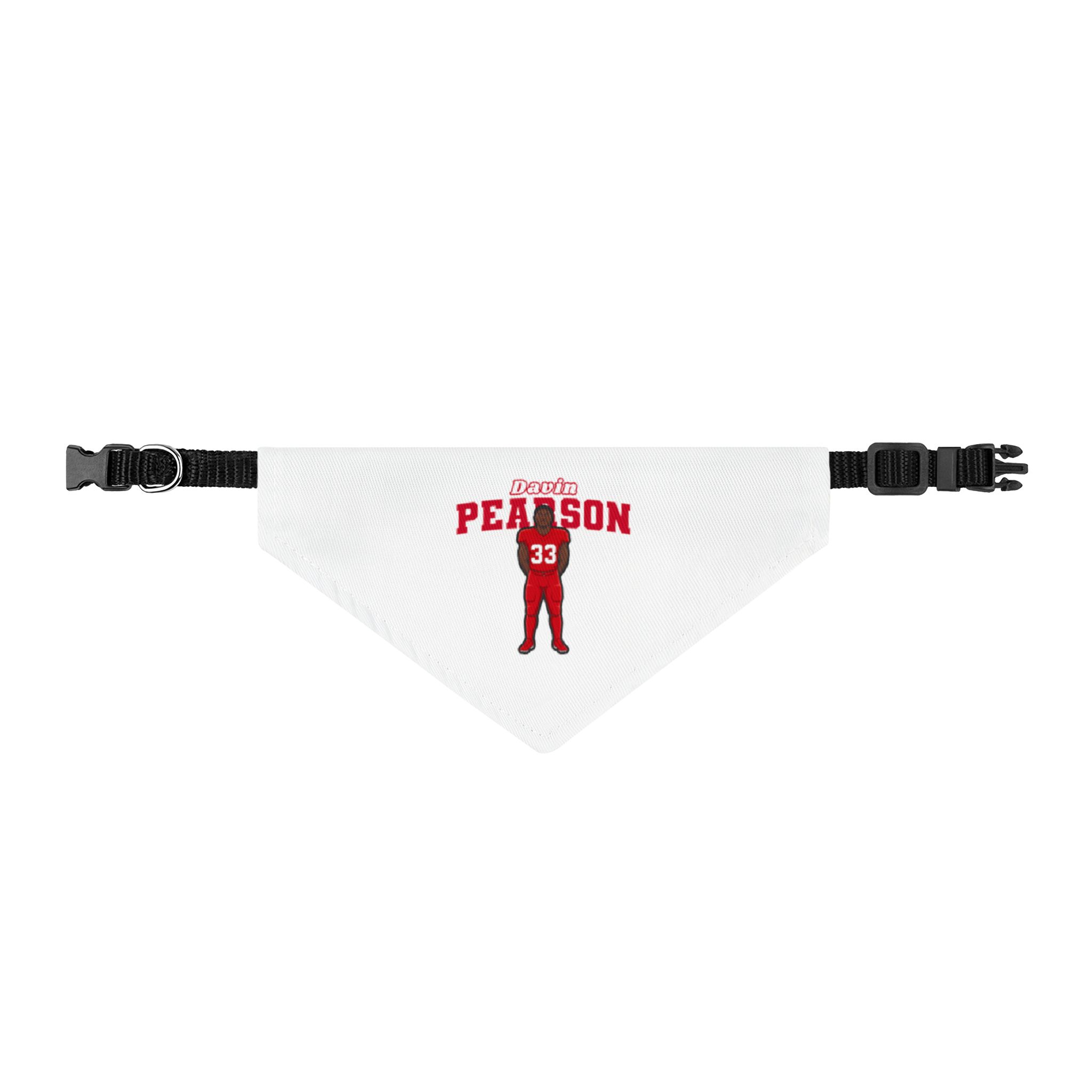 Pet Bandana — character_name_arch in Classic