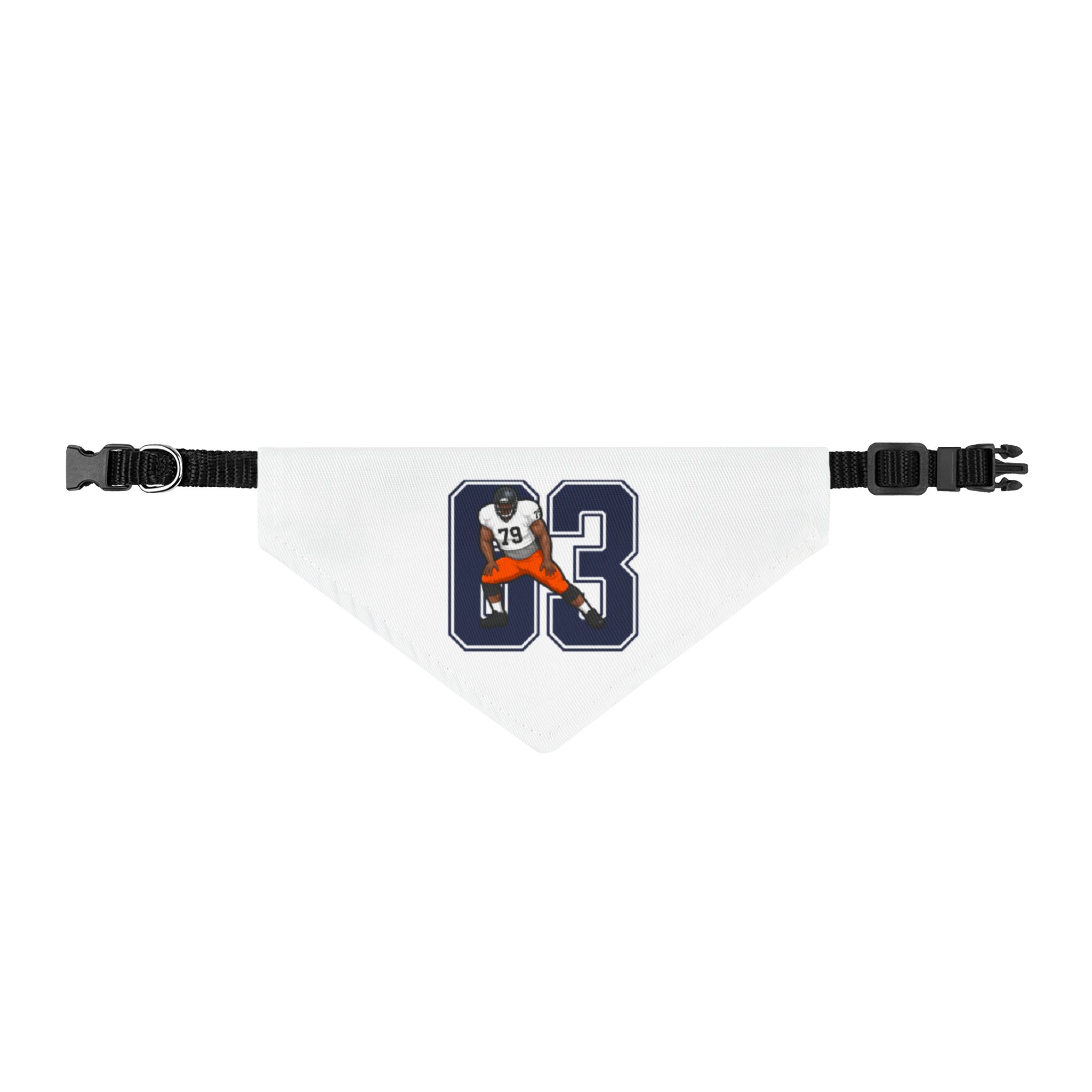 Pet Bandana — character_number in Classic