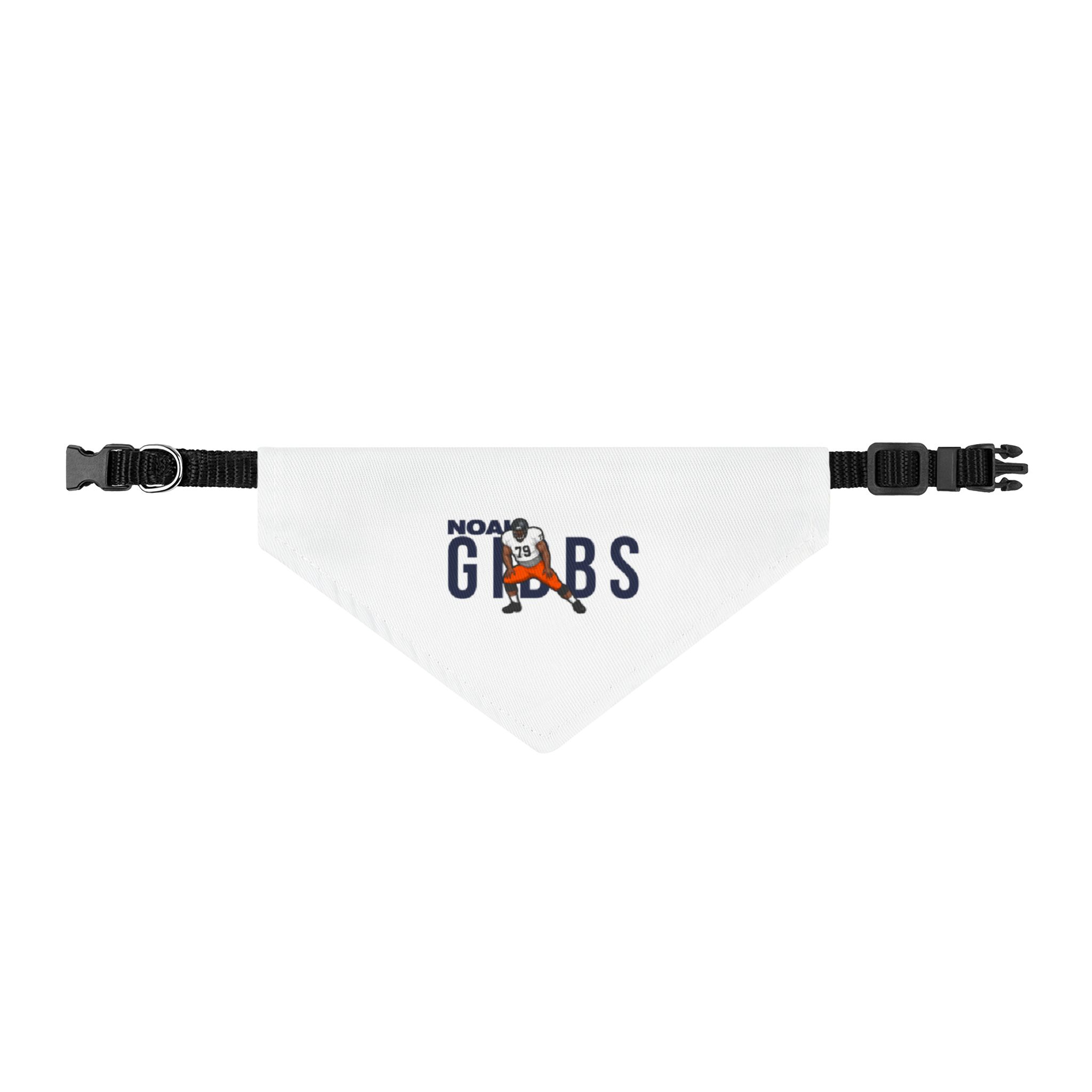 Pet Bandana — character_player_name in Classic