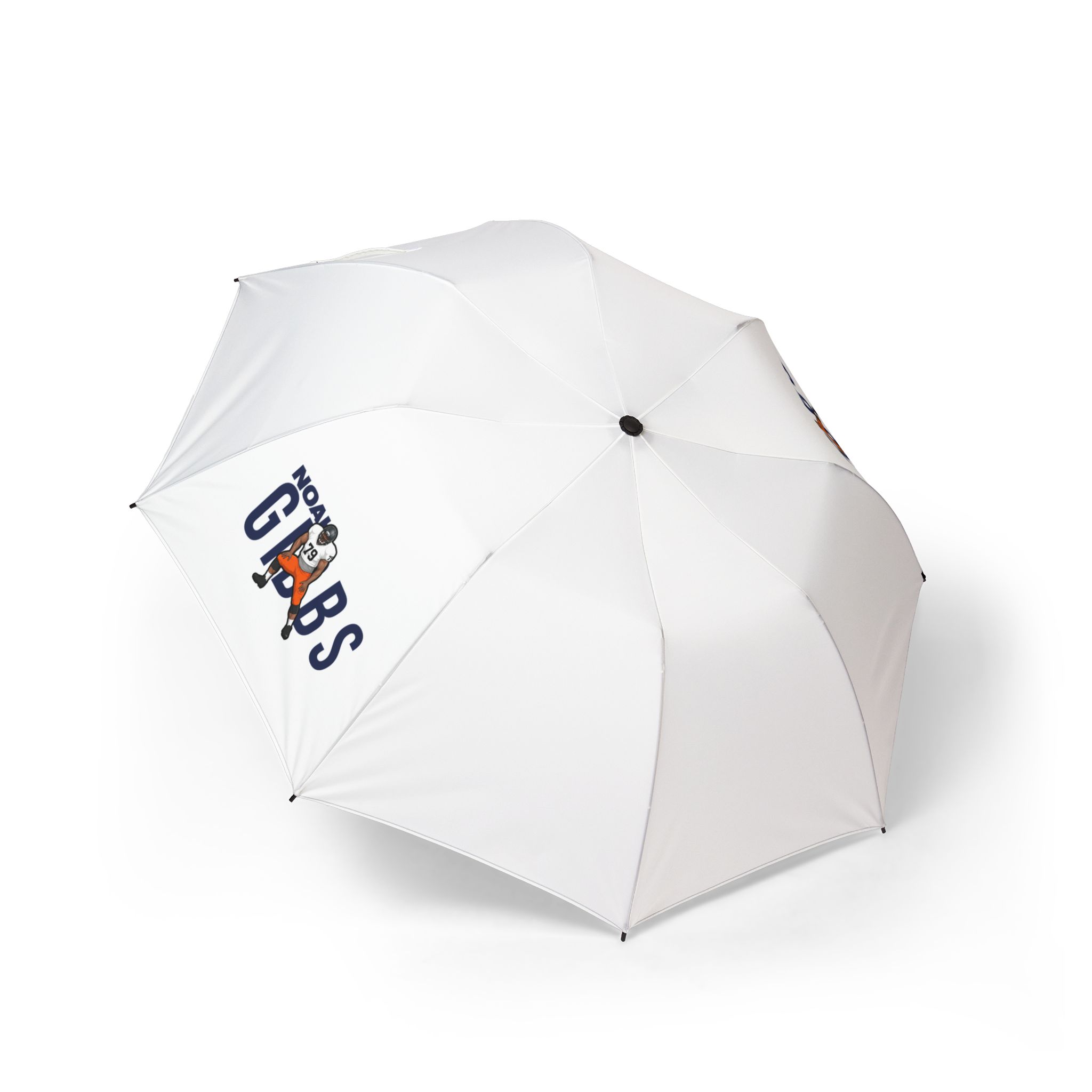Foldable Umbrella — character_player_name in Classic