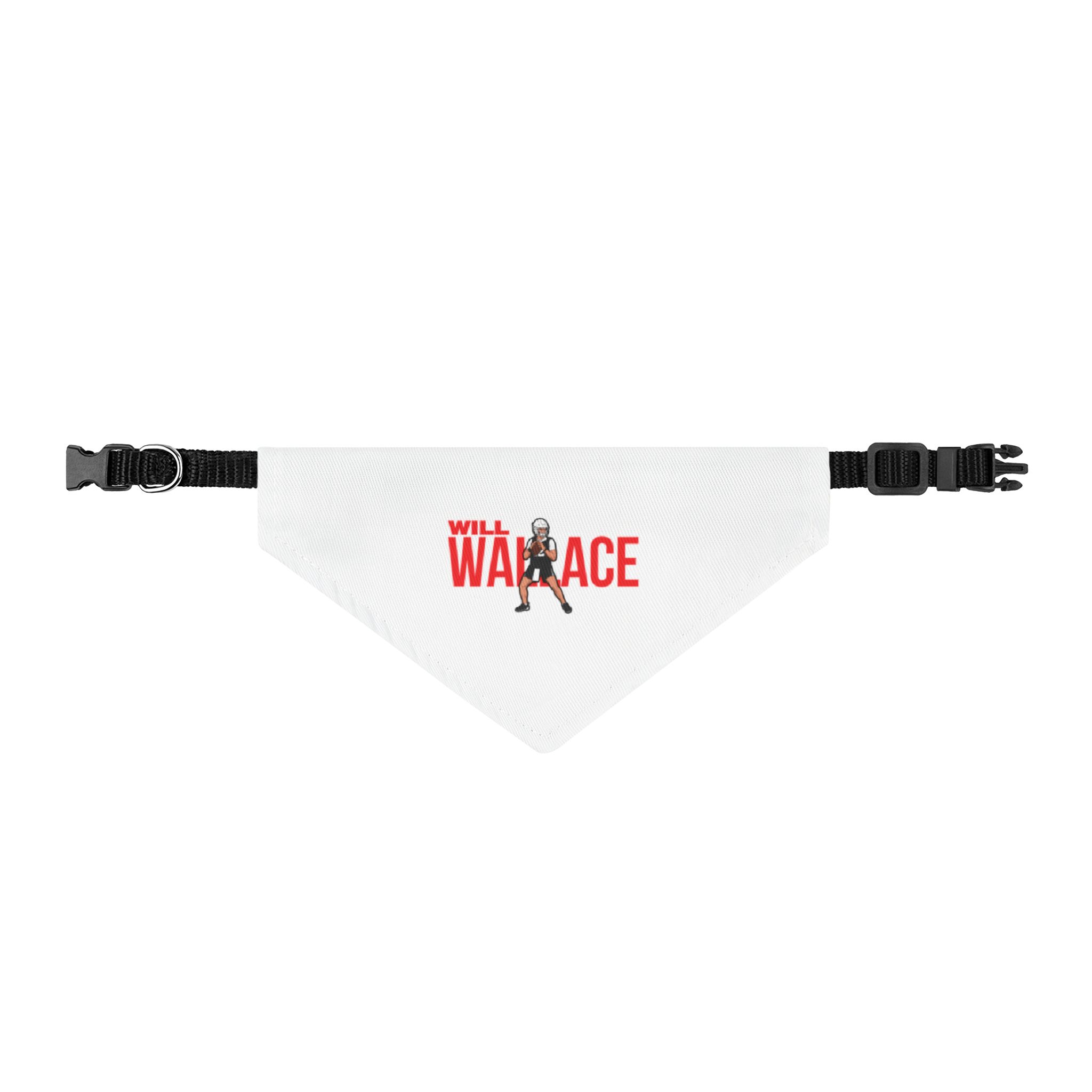 Pet Bandana — character_player_name in Classic