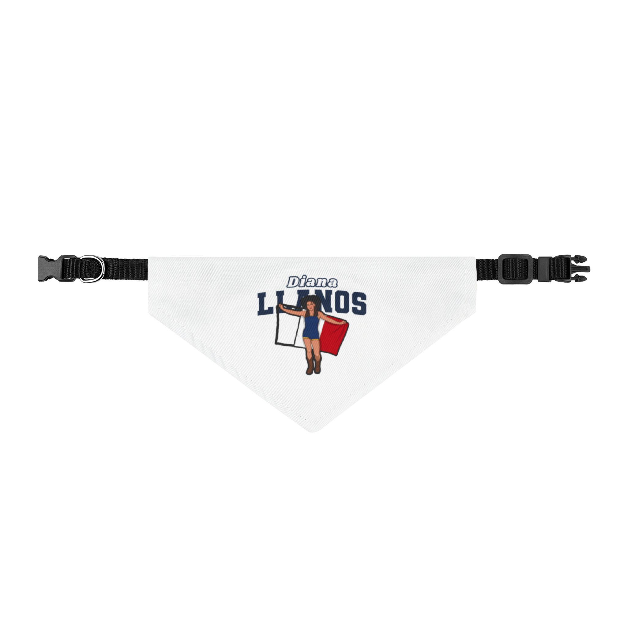 Pet Bandana — character_name_arch in Classic