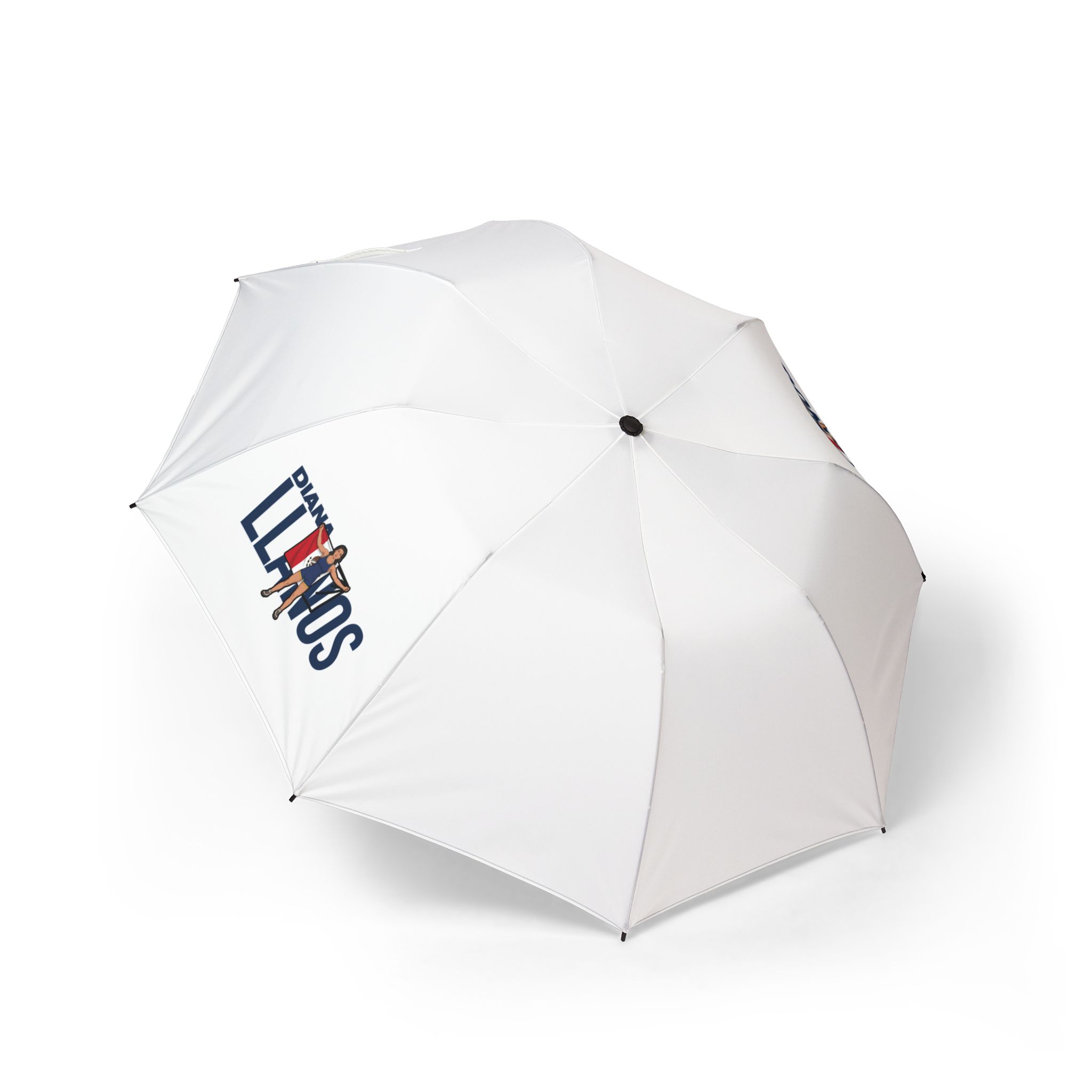Foldable Umbrella — character_player_name in Classic