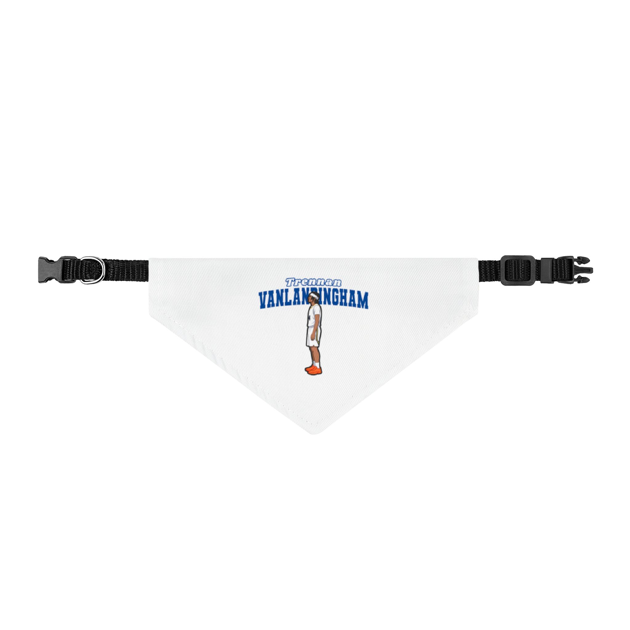 Pet Bandana — character_name_arch in Classic