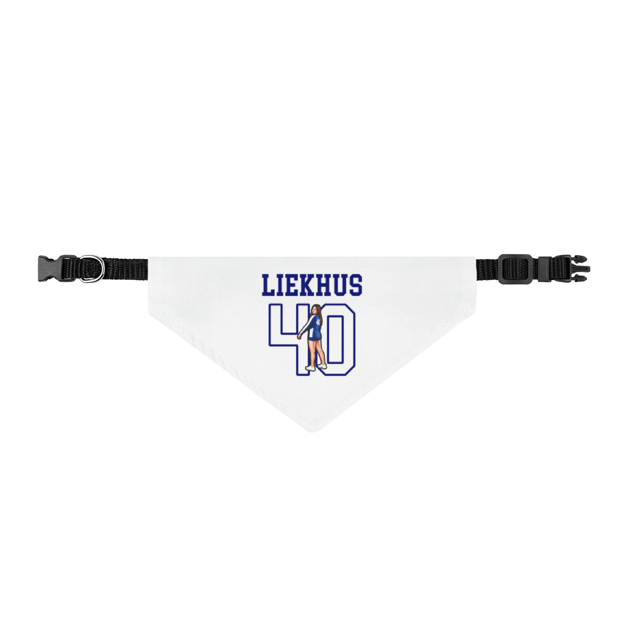 Pet Bandana — character_shirsey in Classic