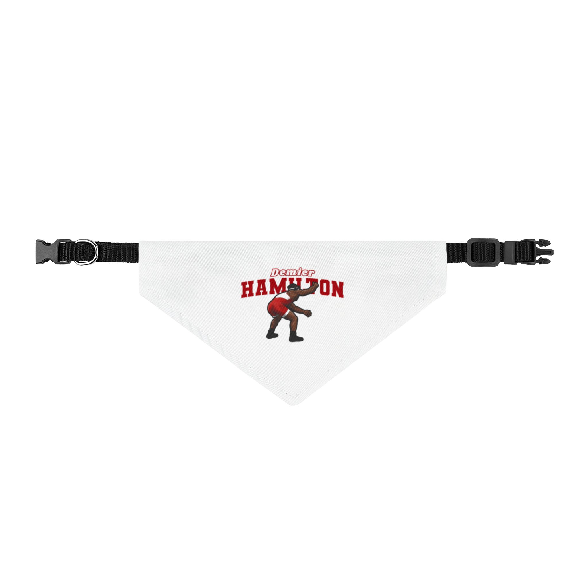 Pet Bandana — character_name_arch in Classic