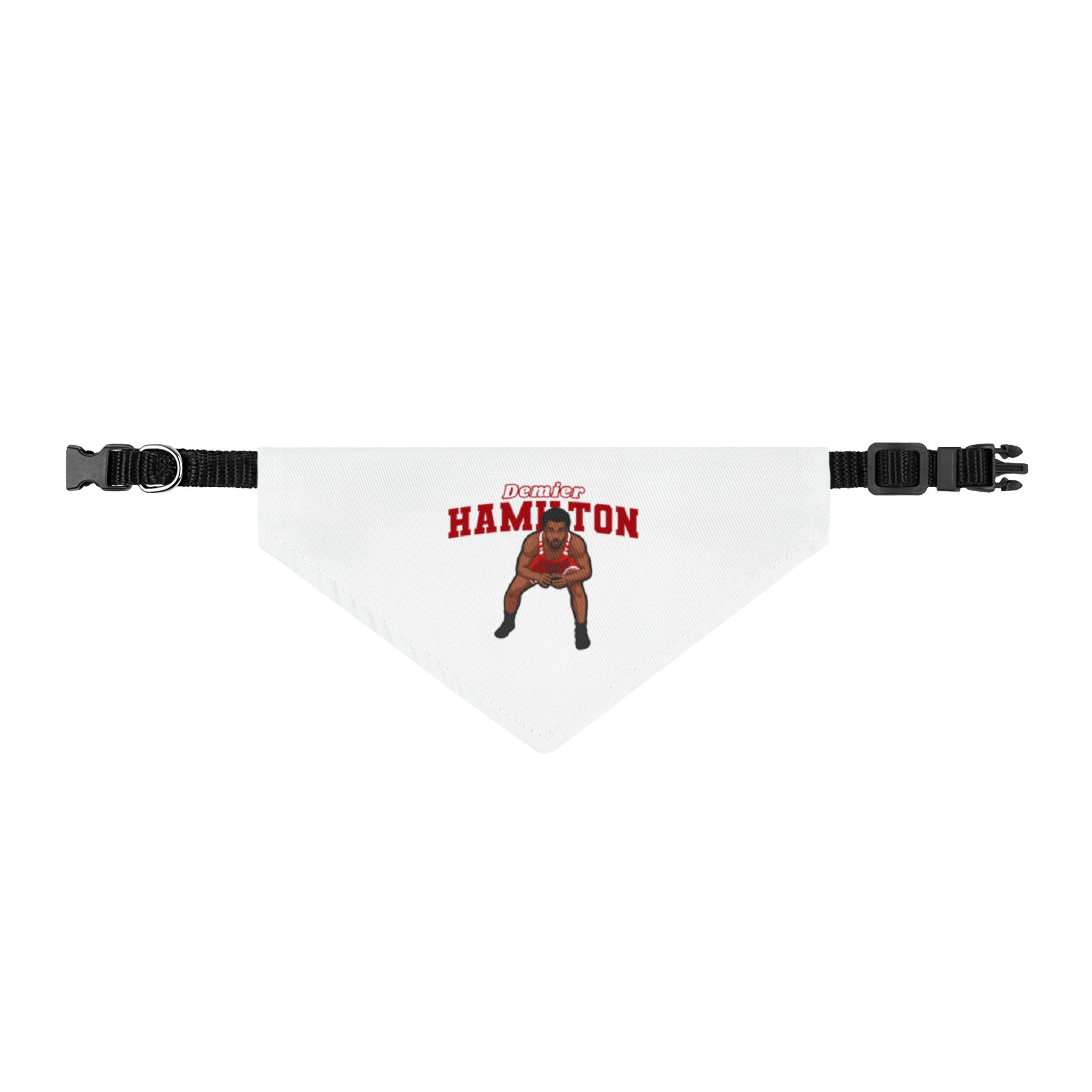 Pet Bandana — character_name_arch in Classic