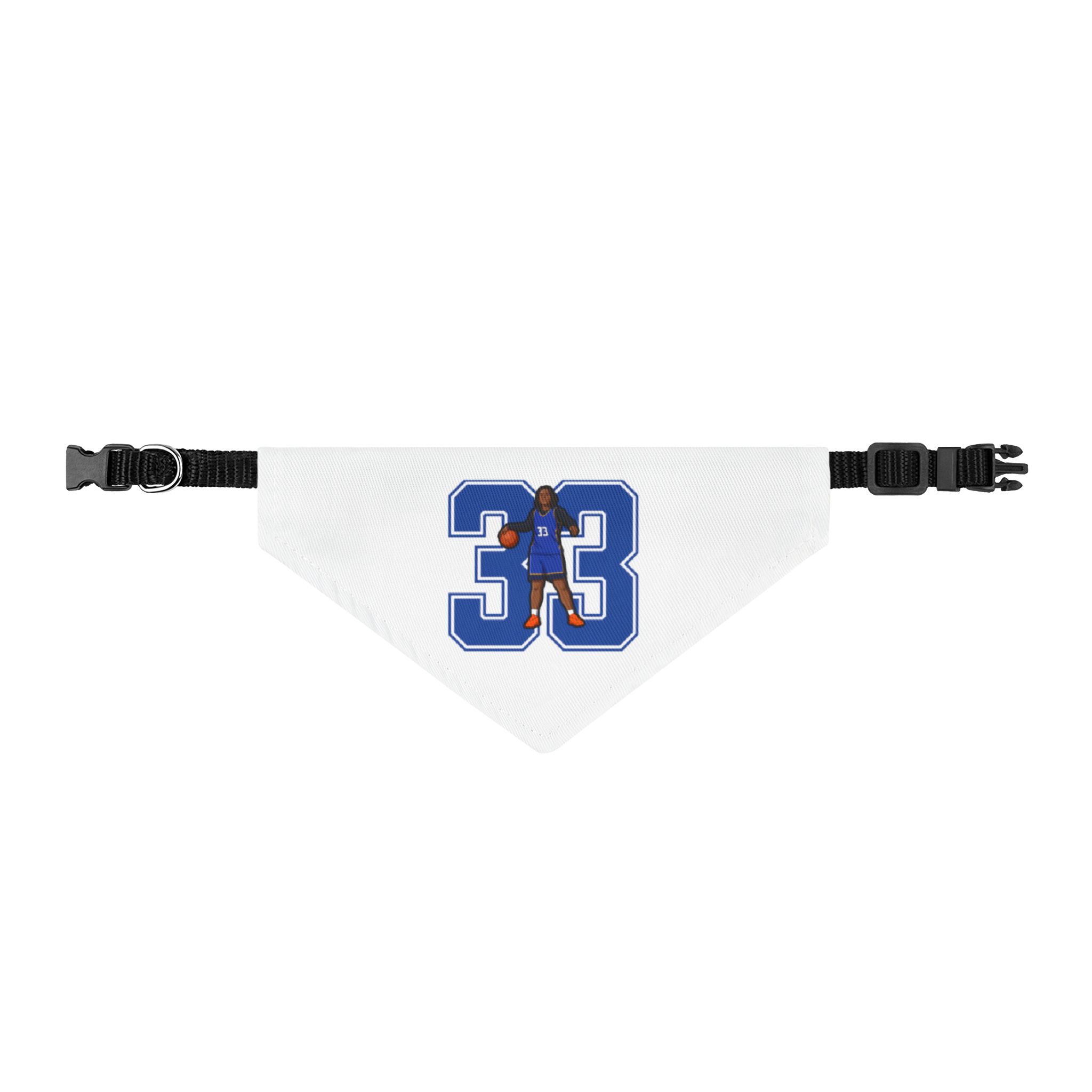 Pet Bandana — character_number in Classic