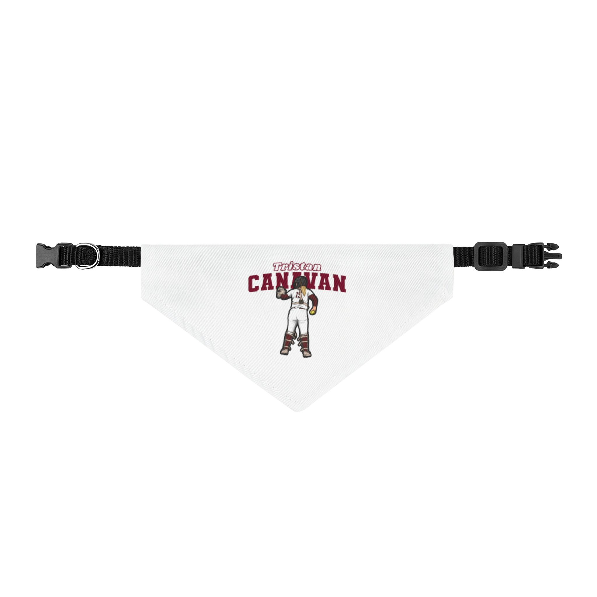 Pet Bandana — character_name_arch in Classic