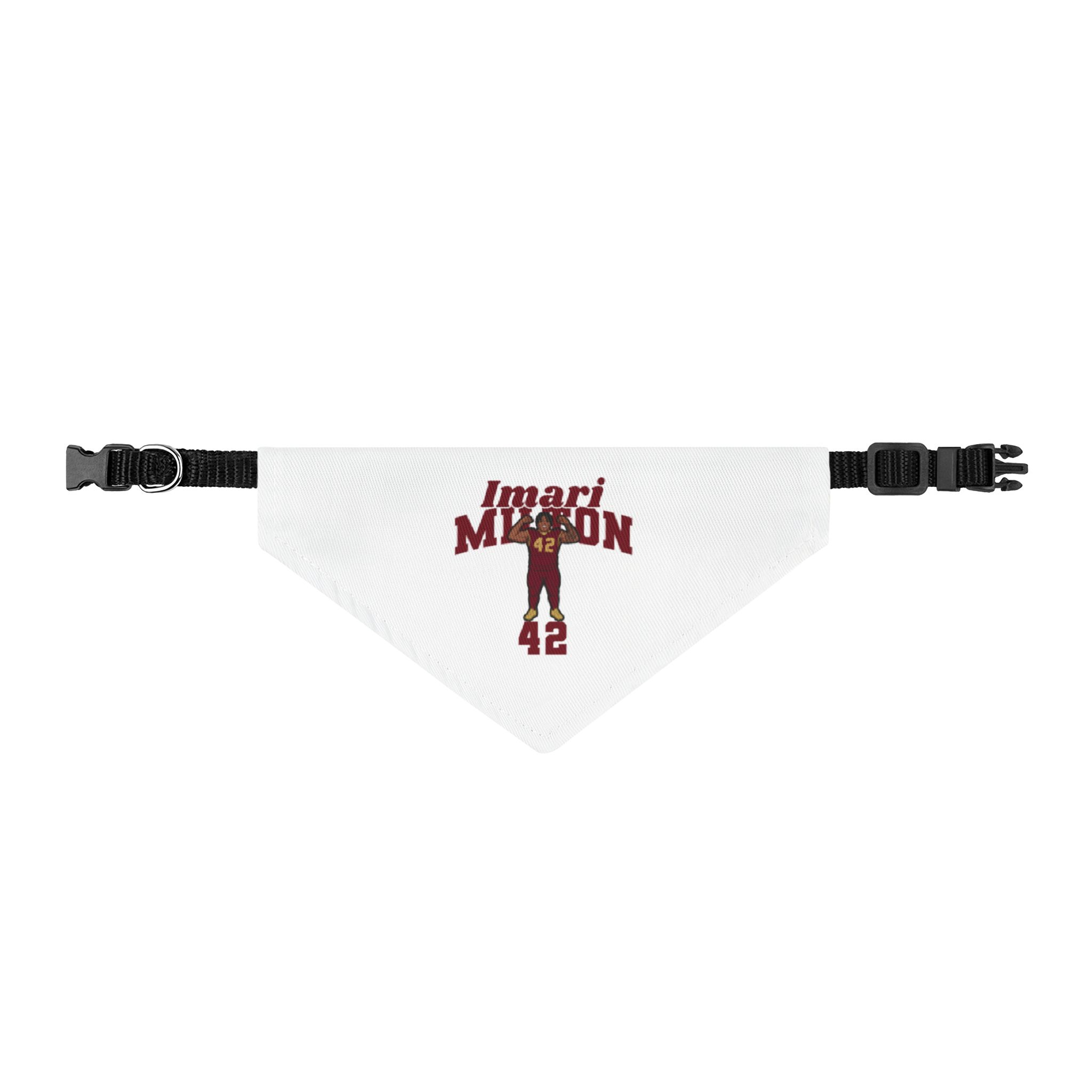 Pet Bandana — character_signature_arch in Classic