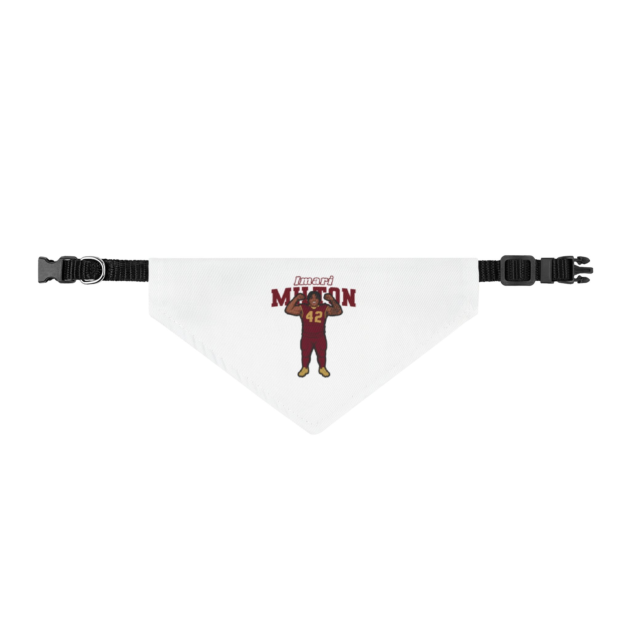 Pet Bandana — character_name_arch in Classic