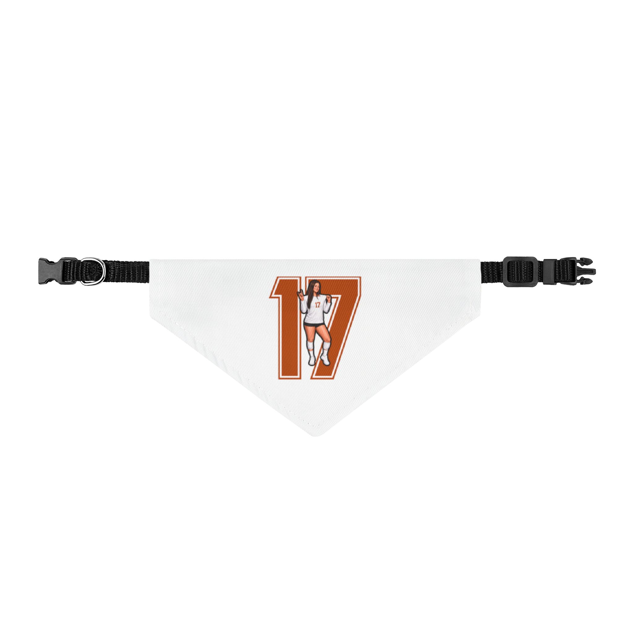 Pet Bandana — character_number in Classic