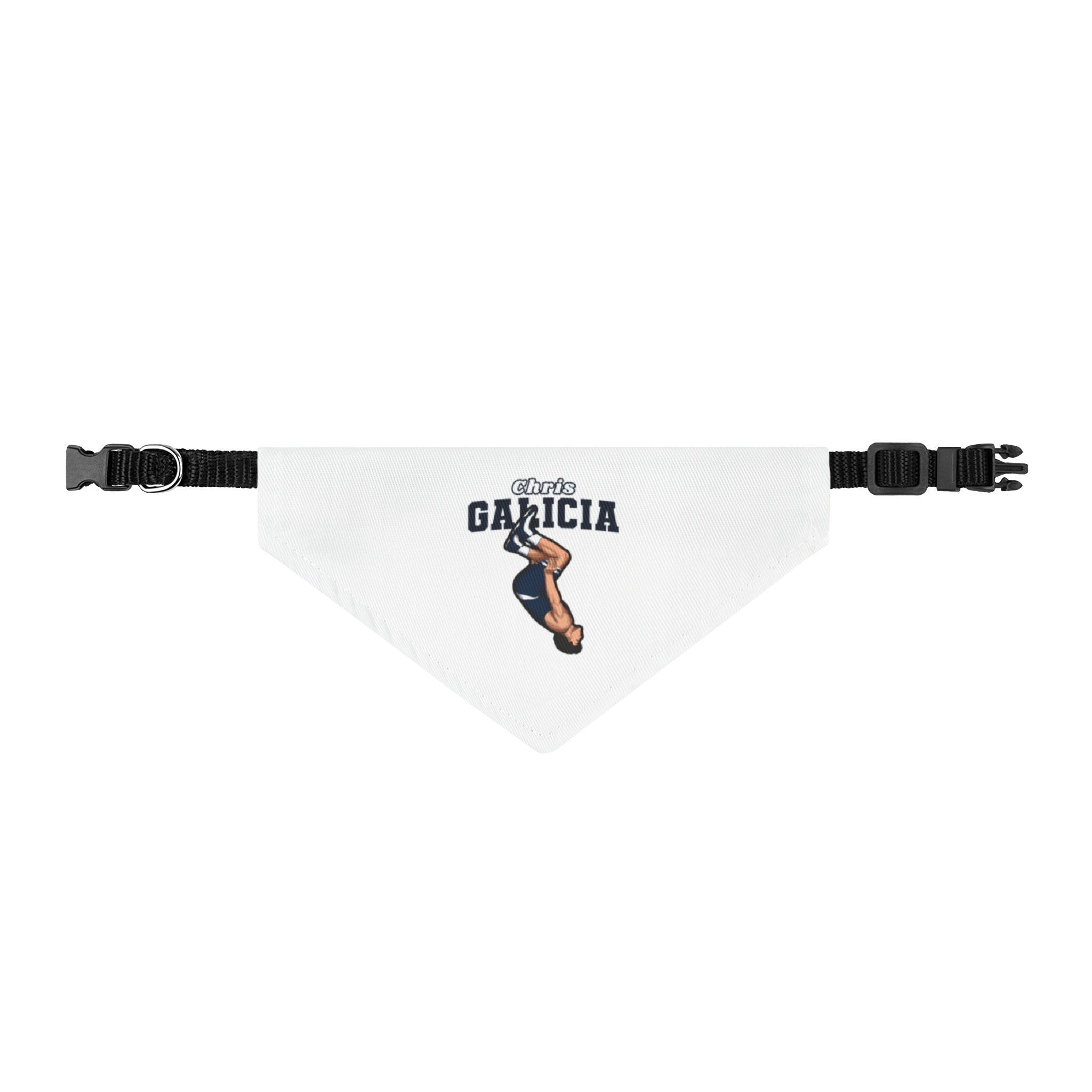 Pet Bandana — character_name_arch in Classic