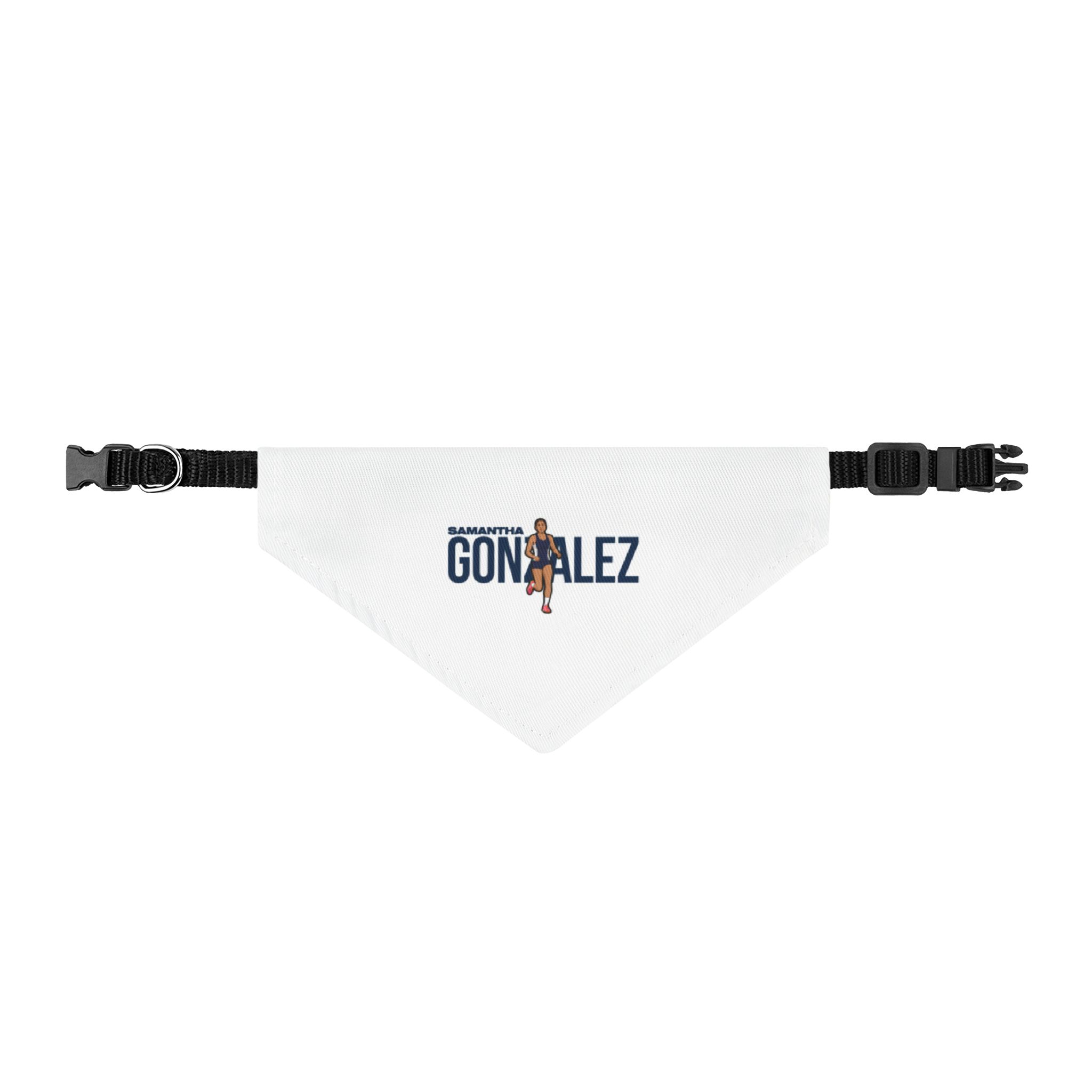 Pet Bandana — character_player_name in Classic