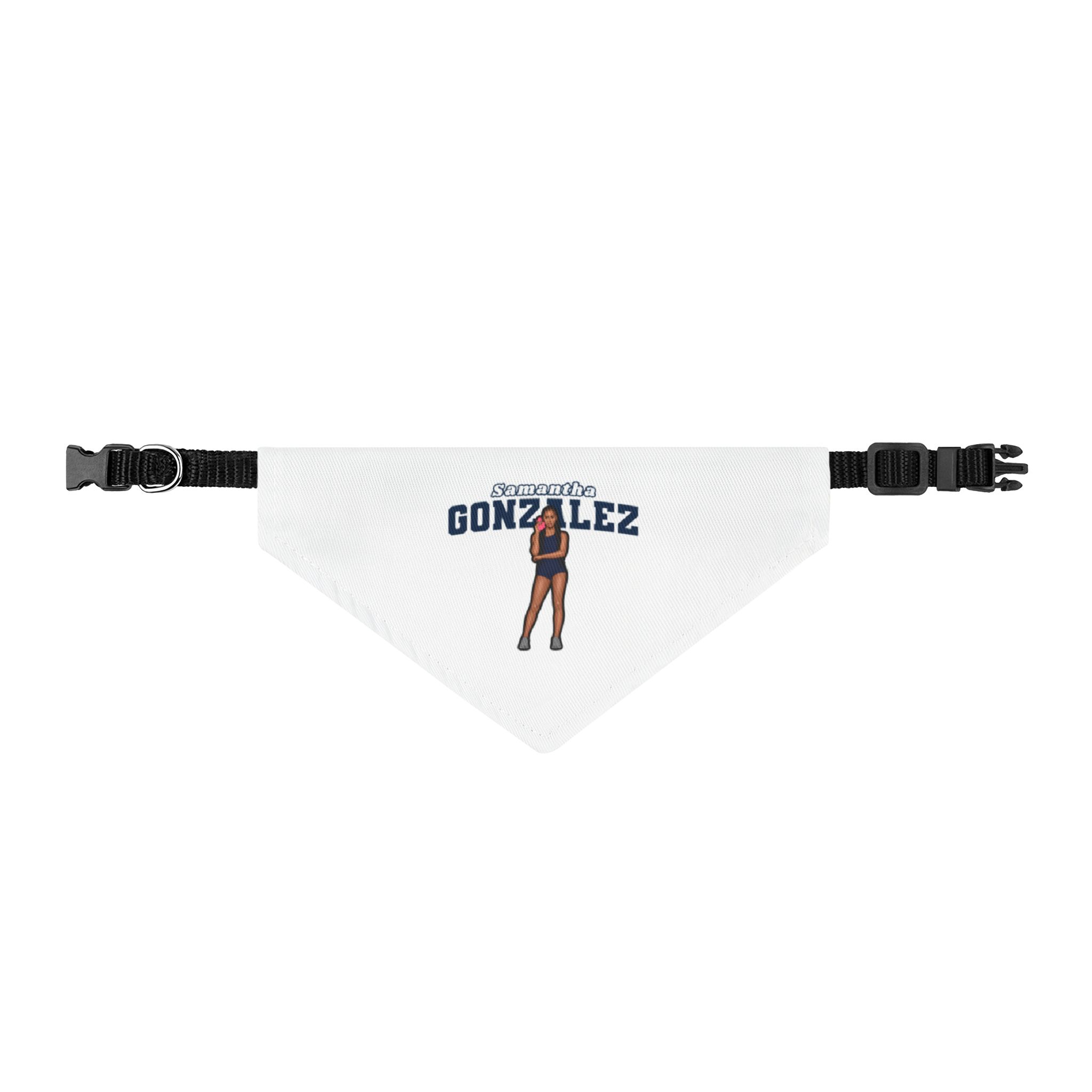 Pet Bandana — character_name_arch in Classic