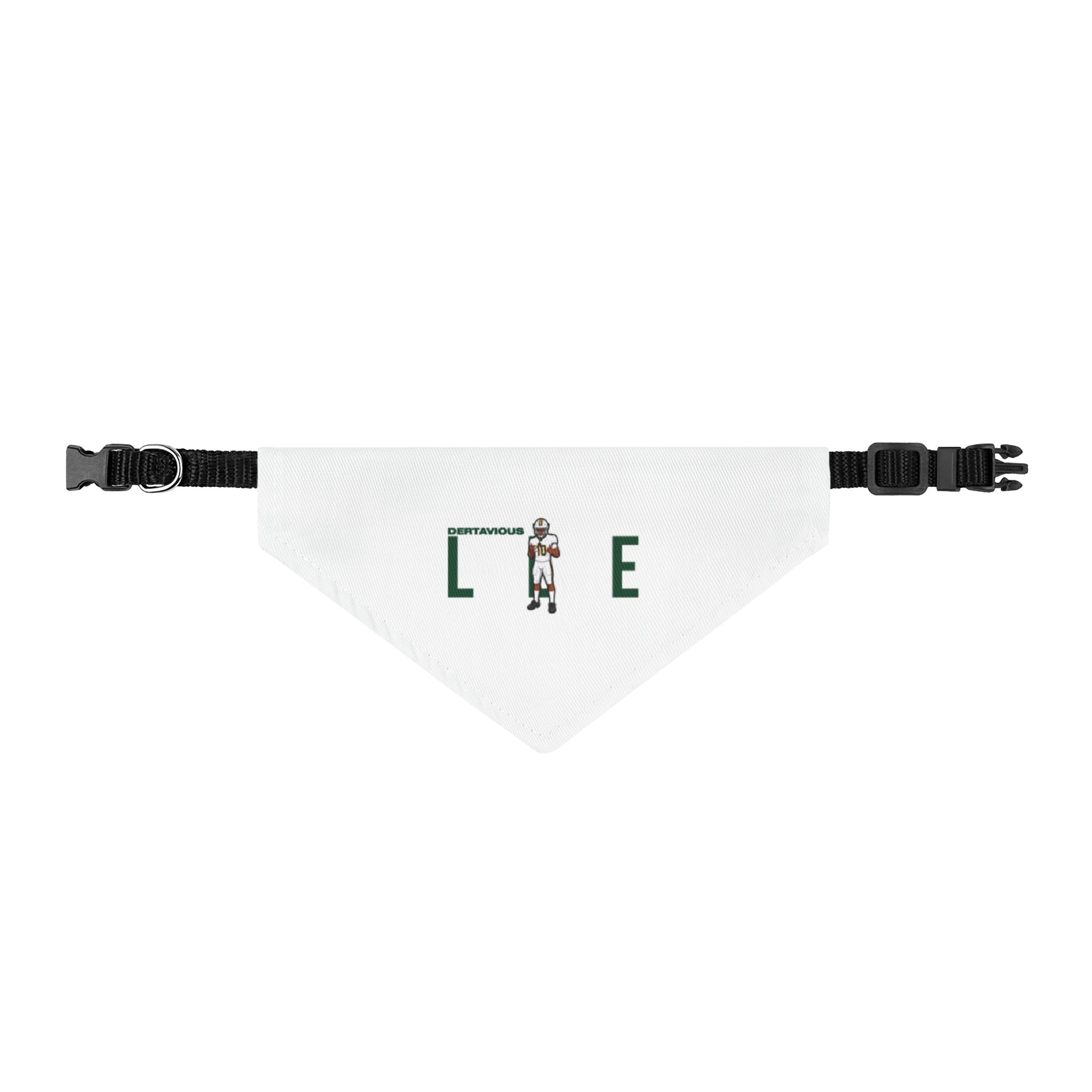 Pet Bandana — character_player_name in Classic