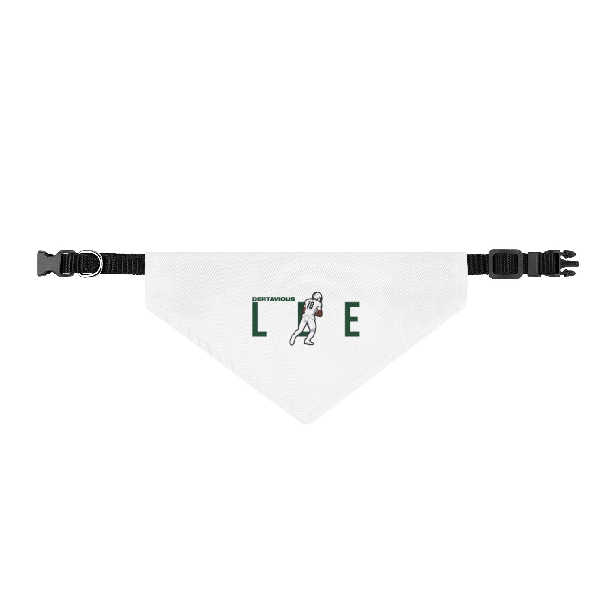Pet Bandana — character_player_name in Classic