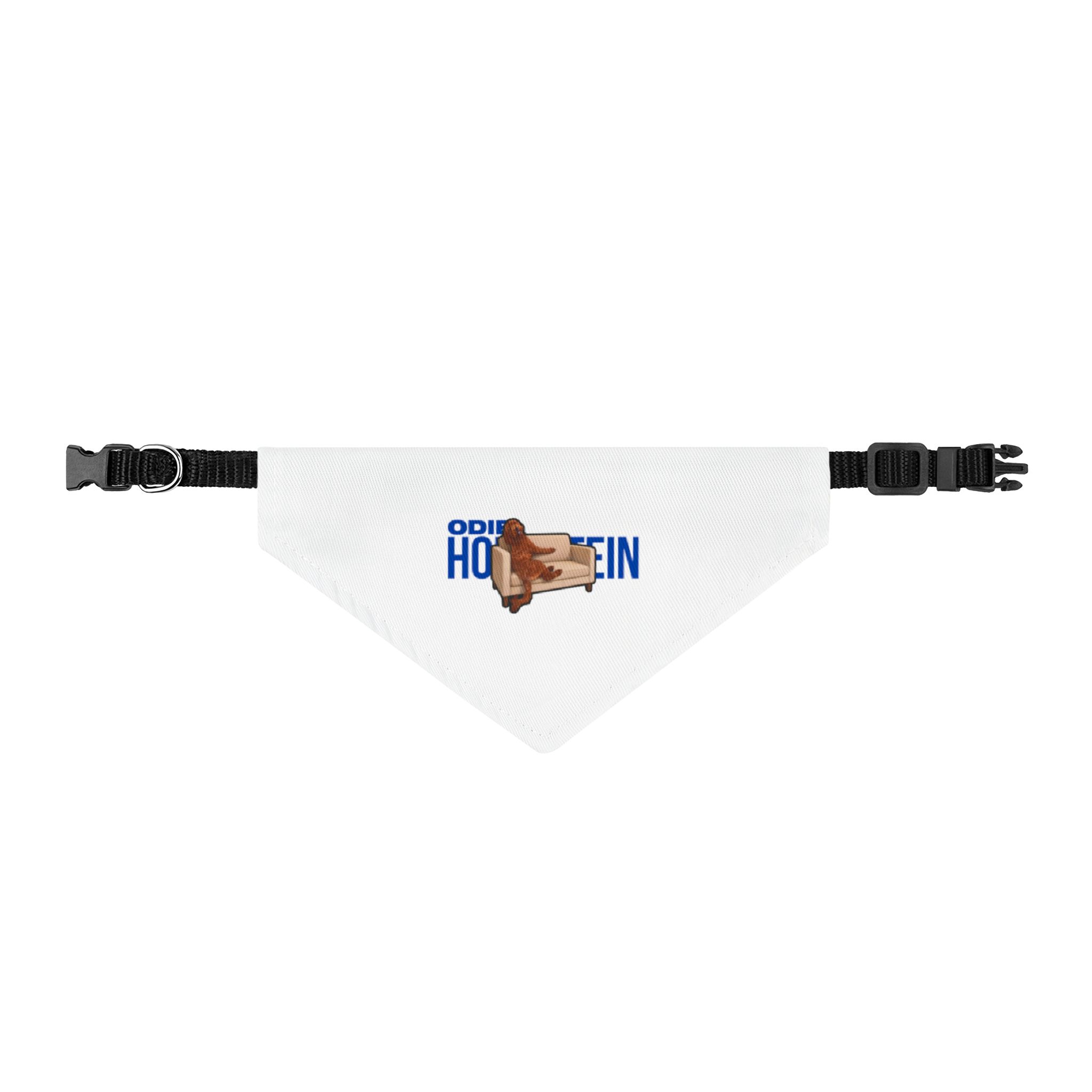 Clip-on Pet Bandana — character_player_name in Classic