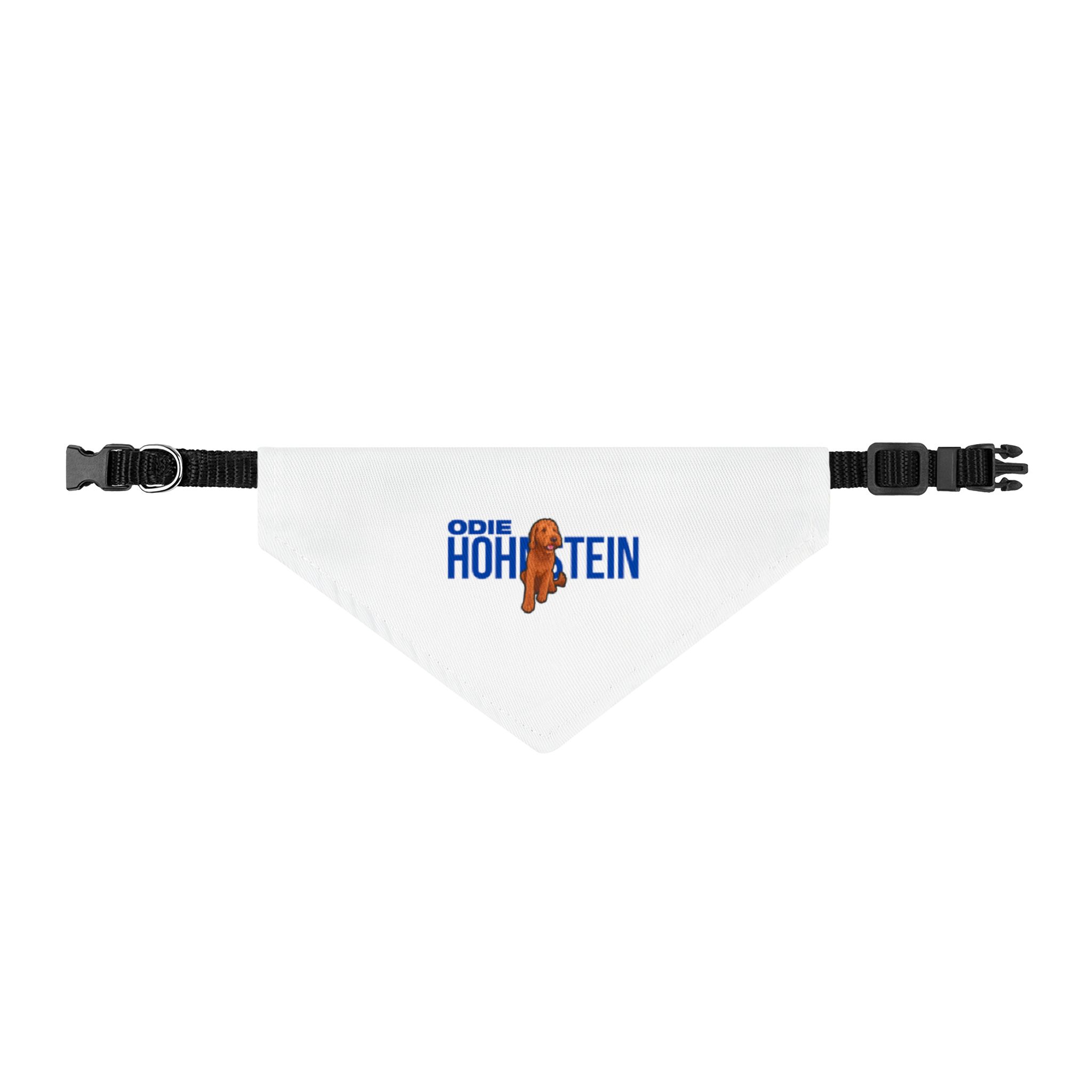 Clip-on Pet Bandana — character_player_name in Classic