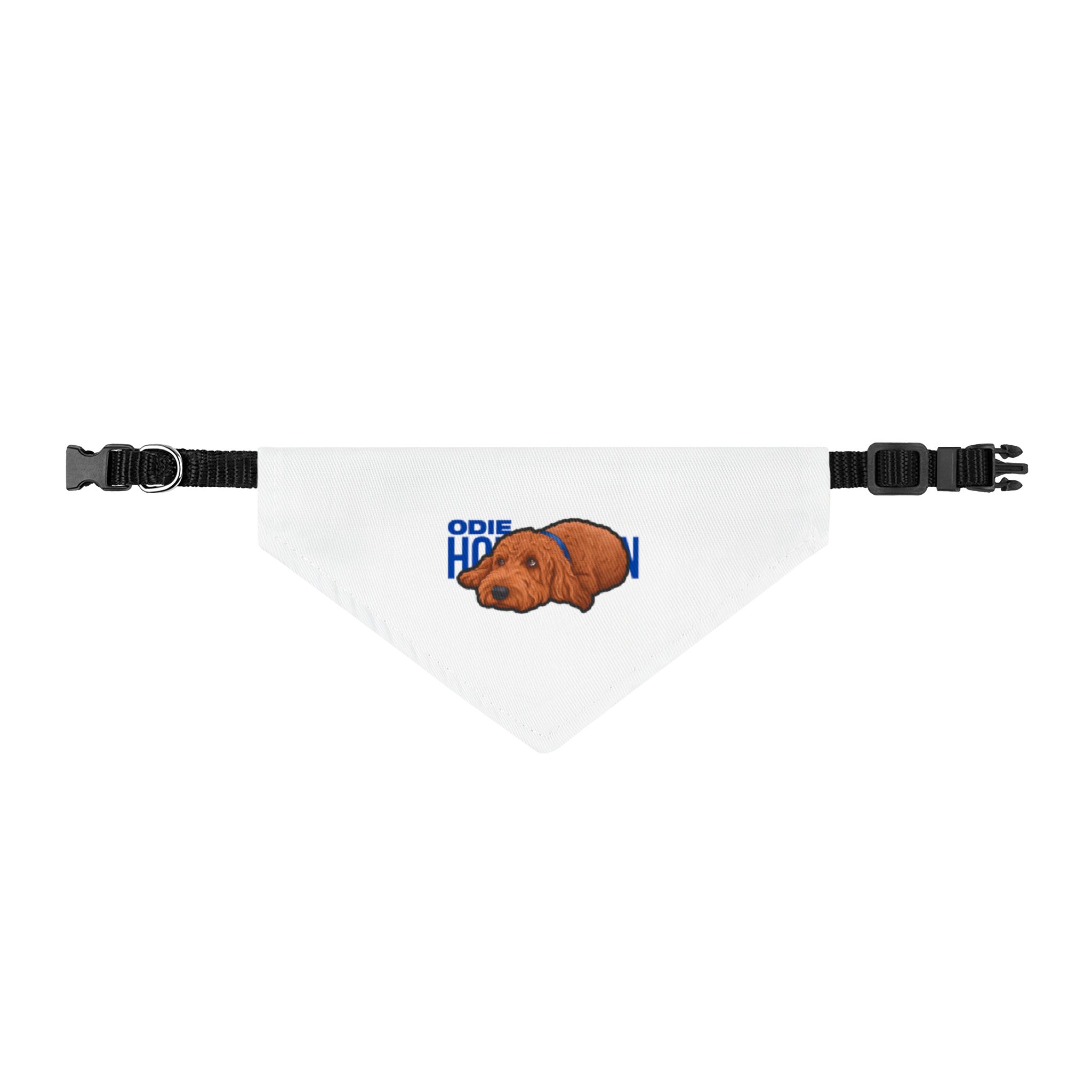 Clip-on Pet Bandana — character_player_name in Classic