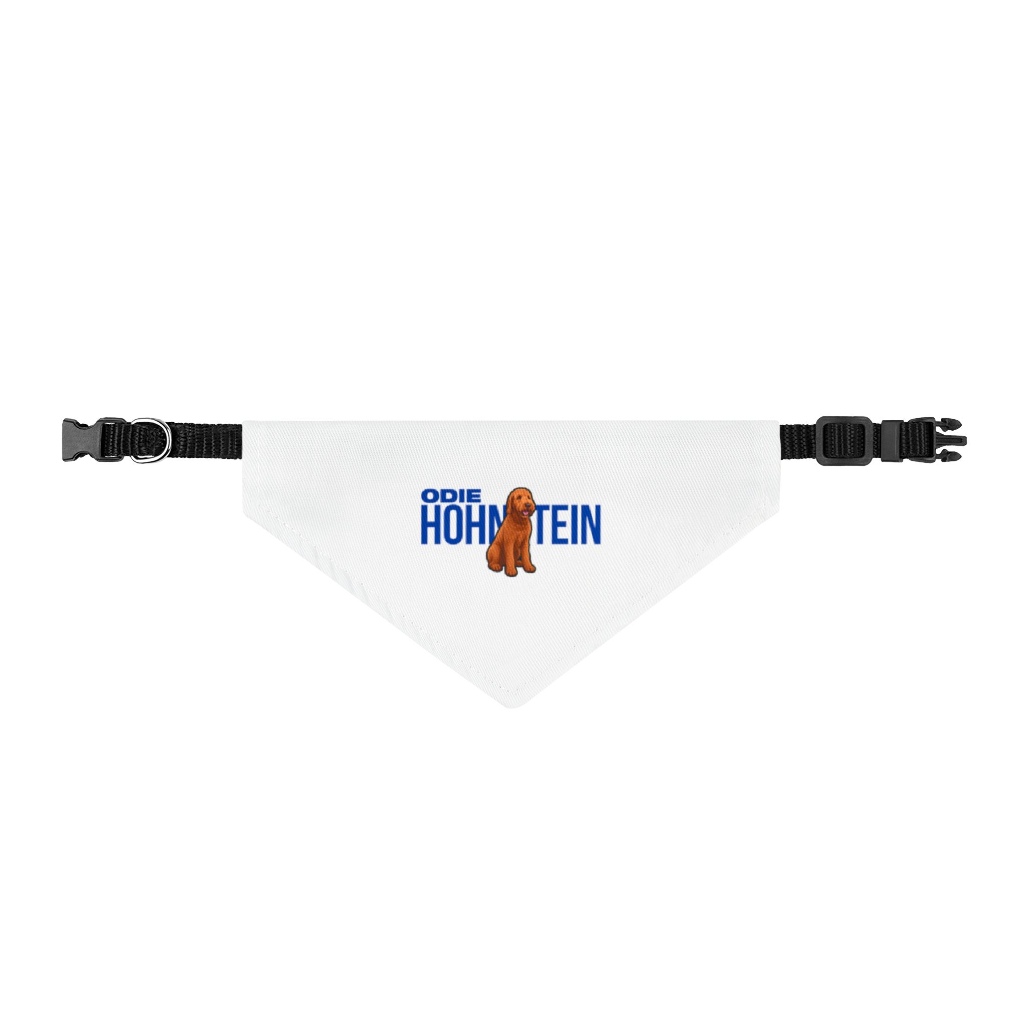 Clip-on Pet Bandana — character_player_name in Classic