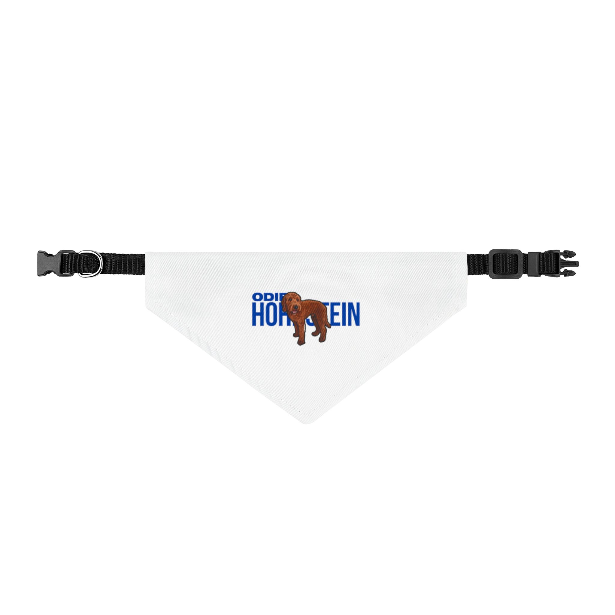 Clip-on Pet Bandana — character_player_name in Classic