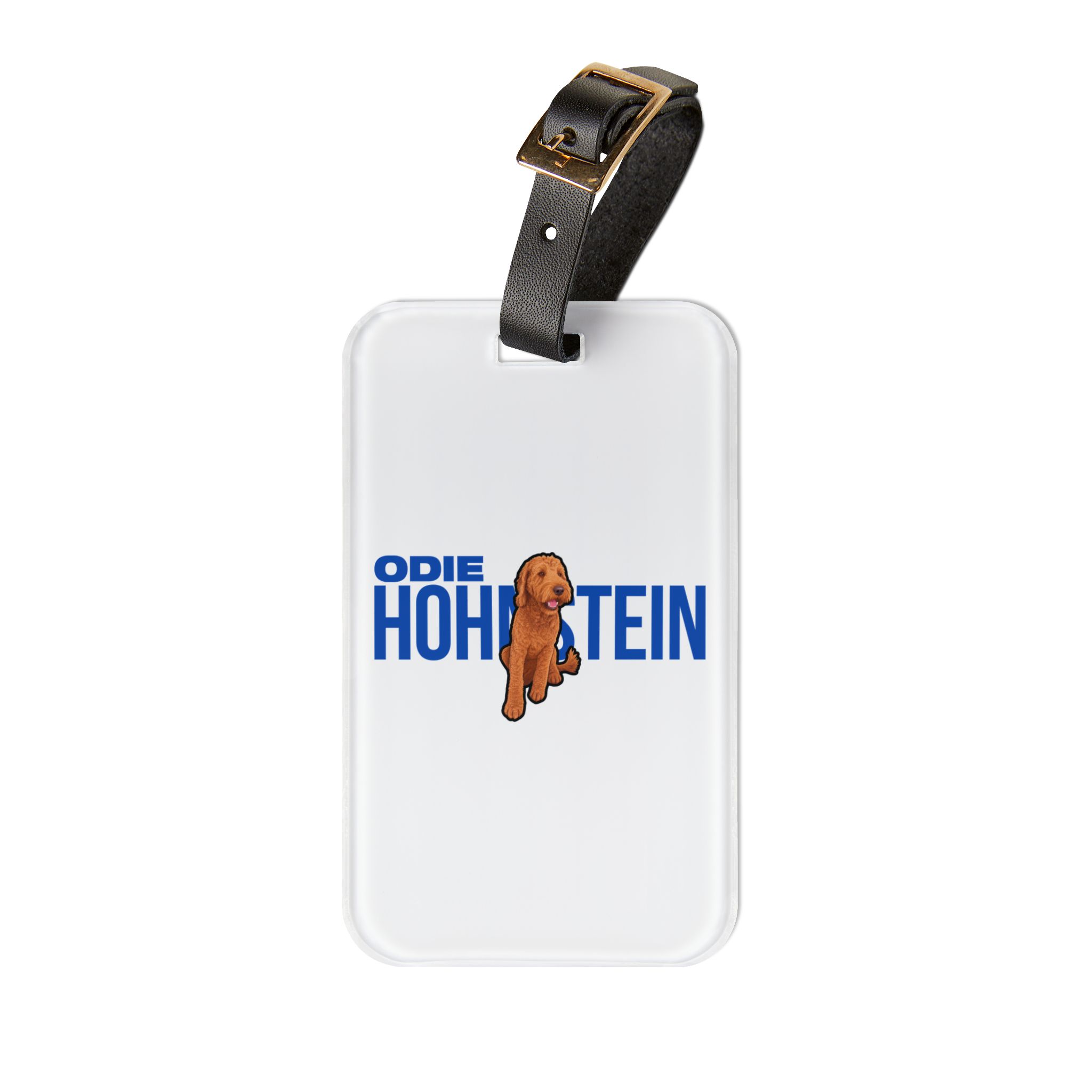 Luggage Tag — character_player_name in Classic