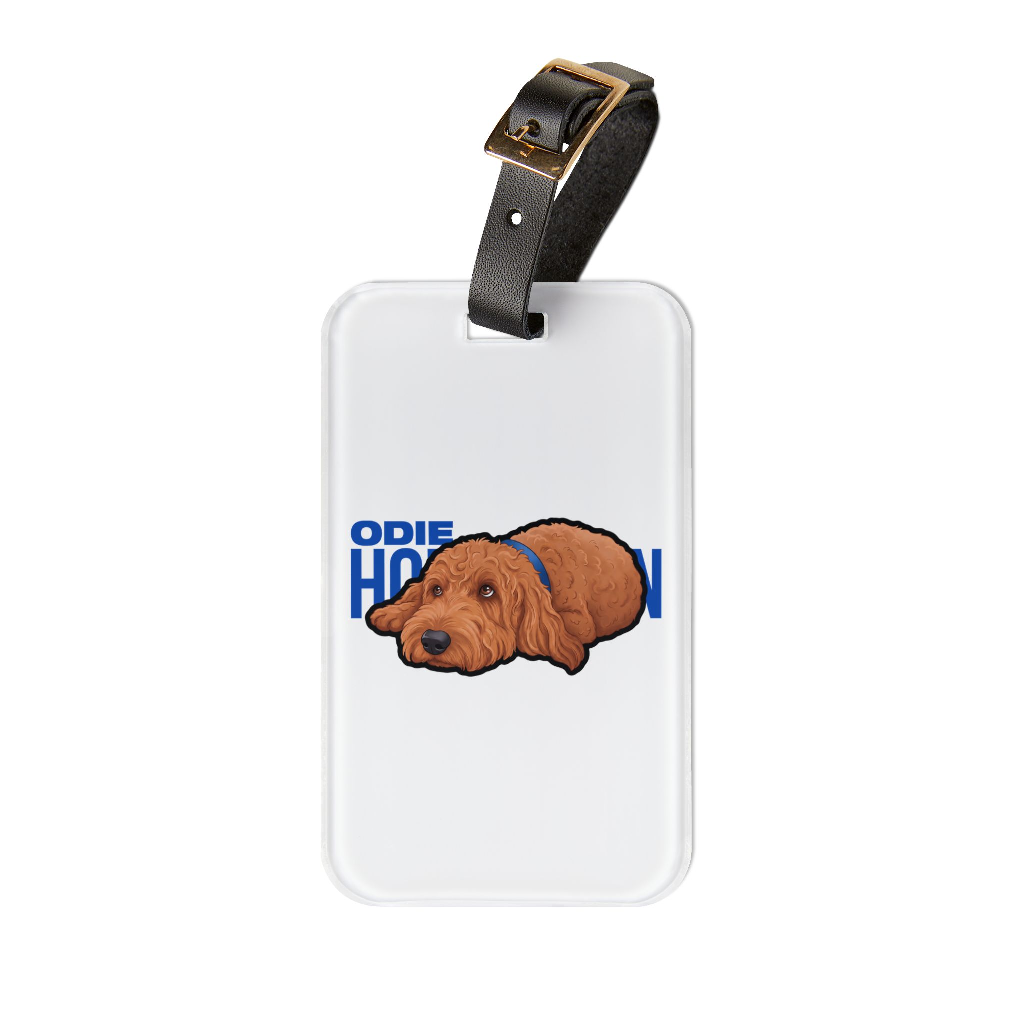 Luggage Tag — character_player_name in Classic