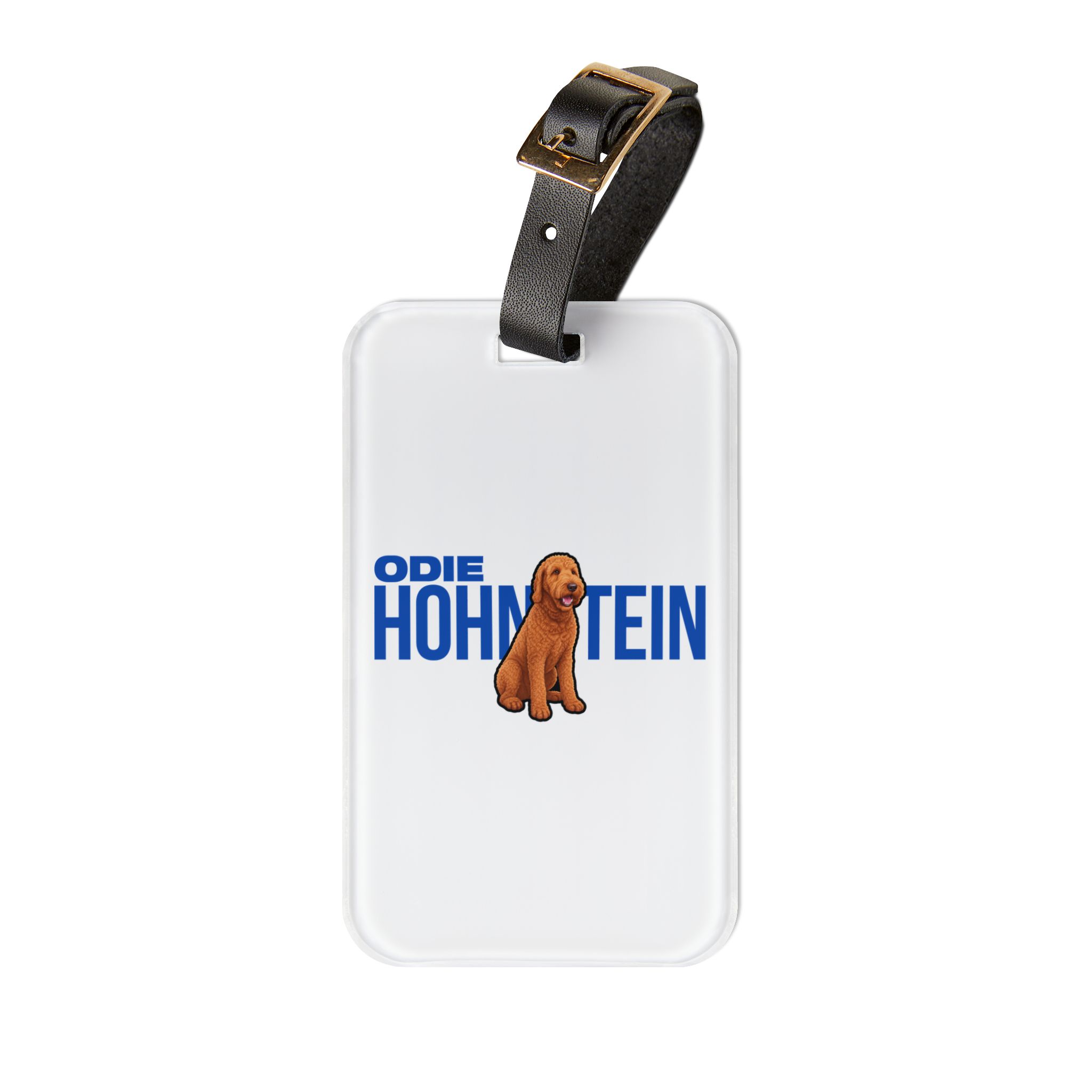 Luggage Tag — character_player_name in Classic