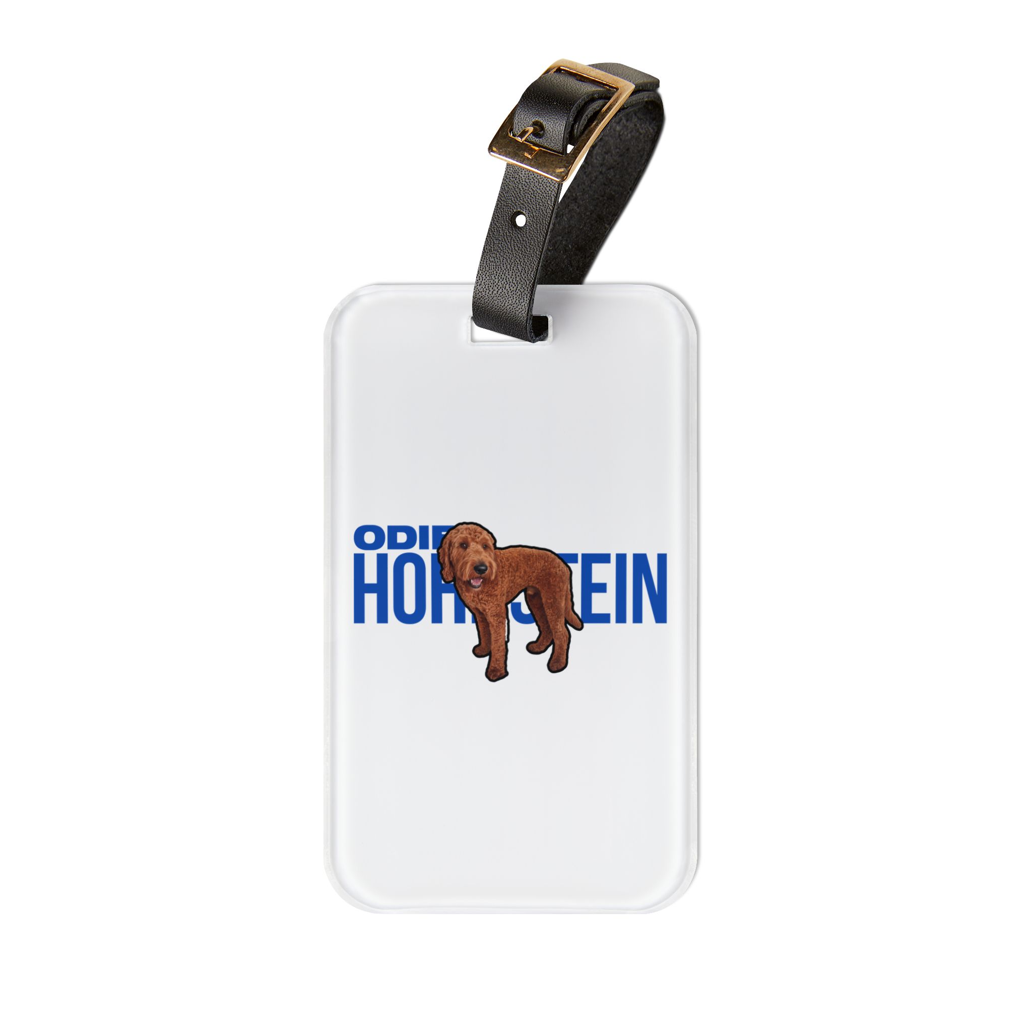 Luggage Tag — character_player_name in Classic