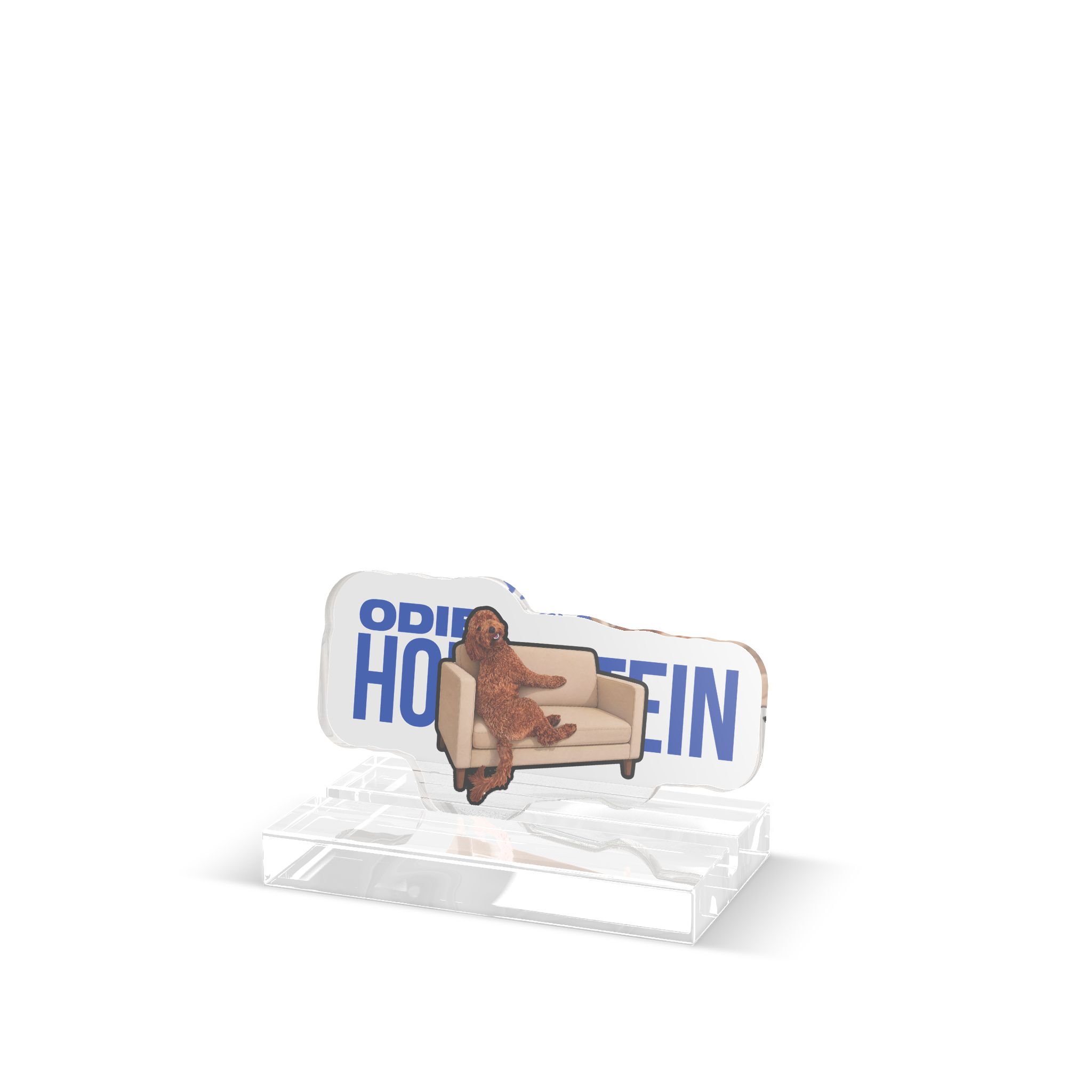 Desk Display — character_player_name in Classic