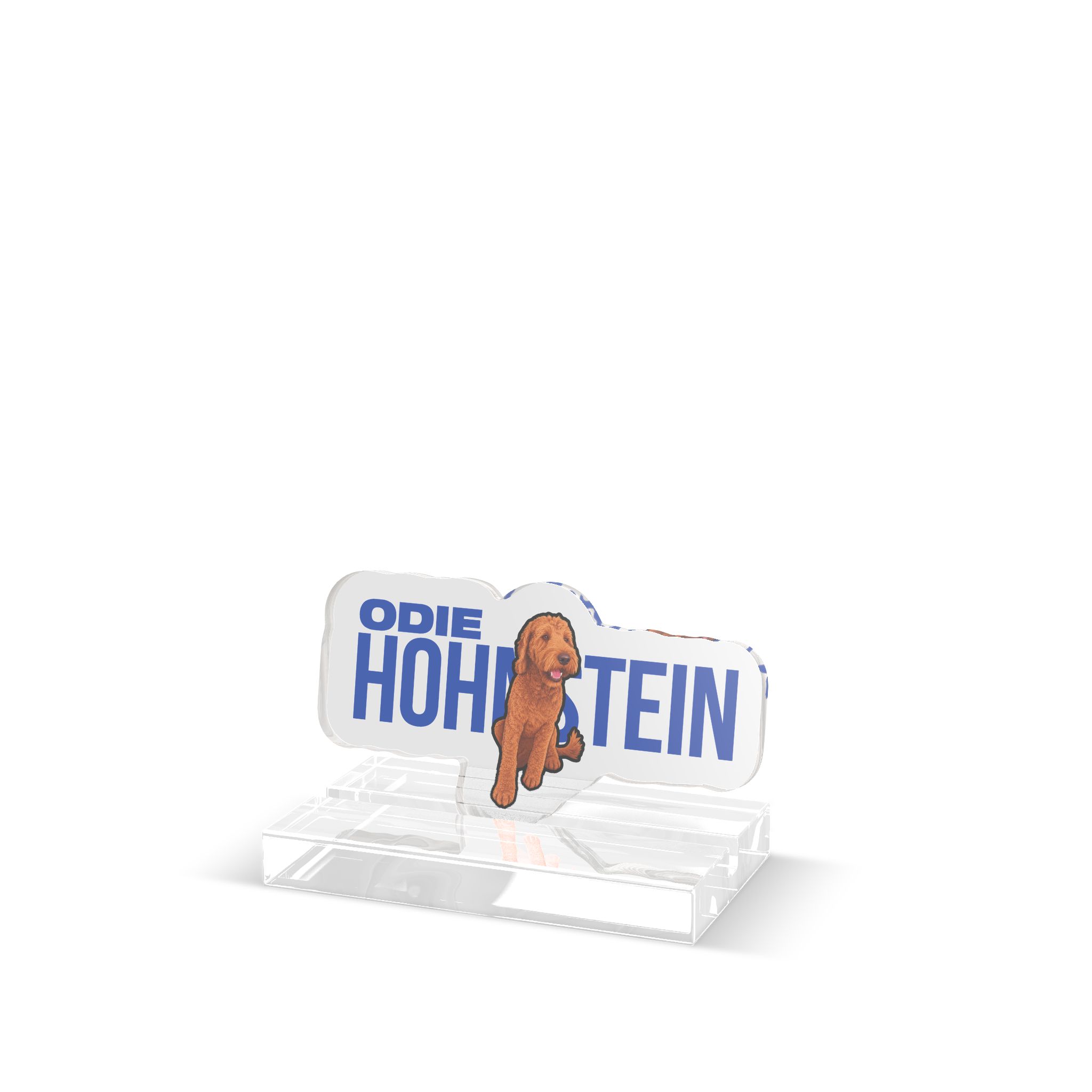 Desk Display — character_player_name in Classic