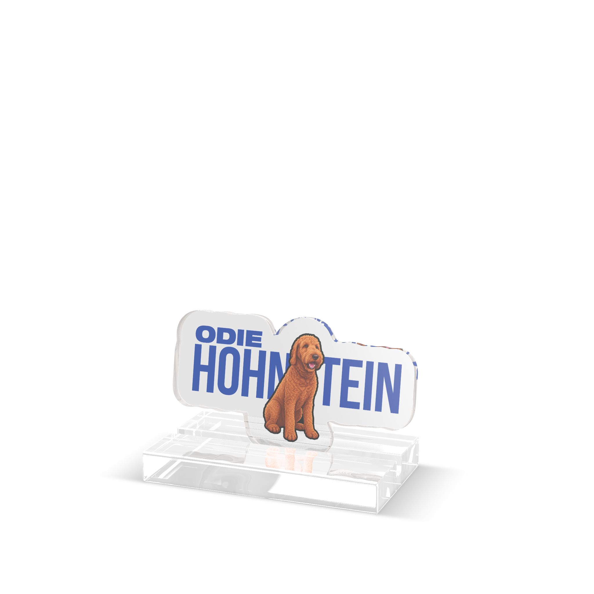 Desk Display — character_player_name in Classic