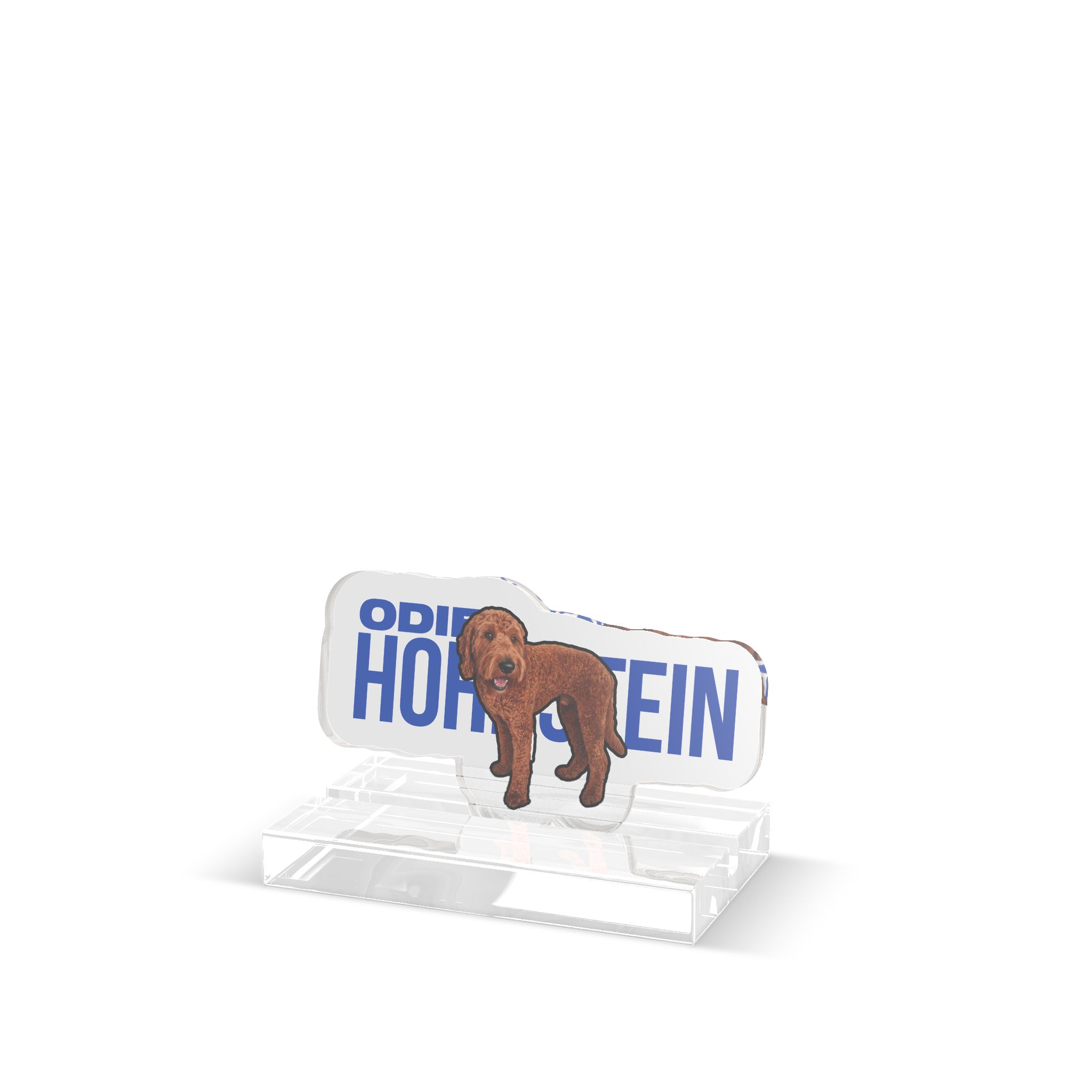 Desk Display — character_player_name in Classic