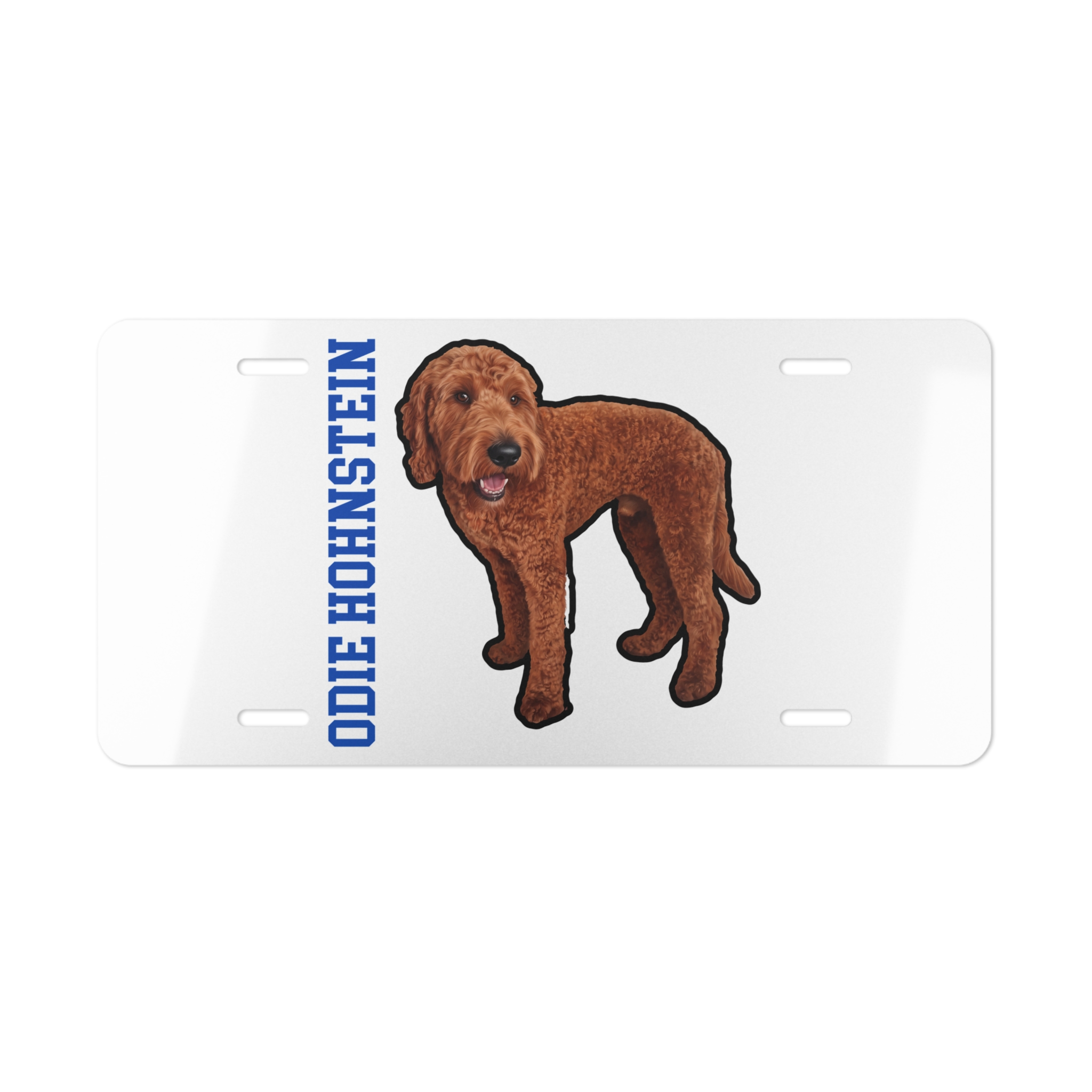 License Plate — character_name_vertical in Classic