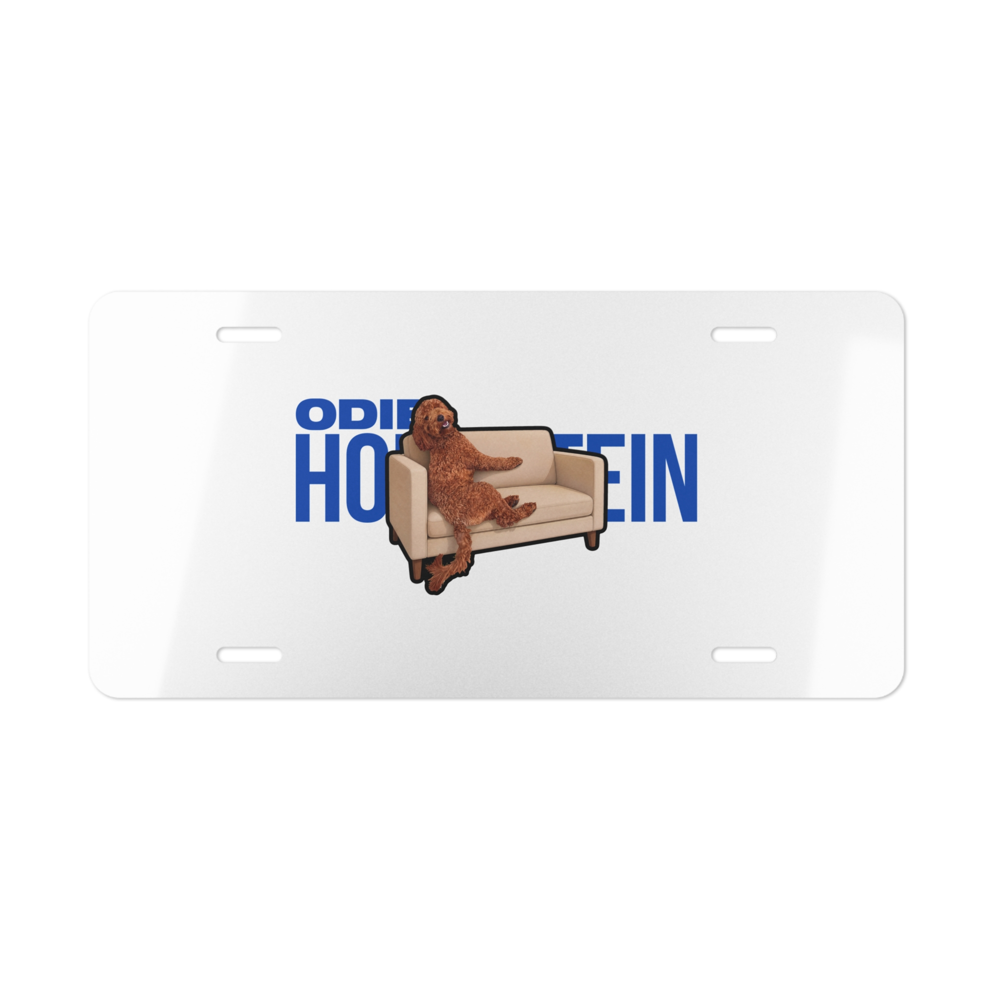 License Plate — character_player_name in Classic