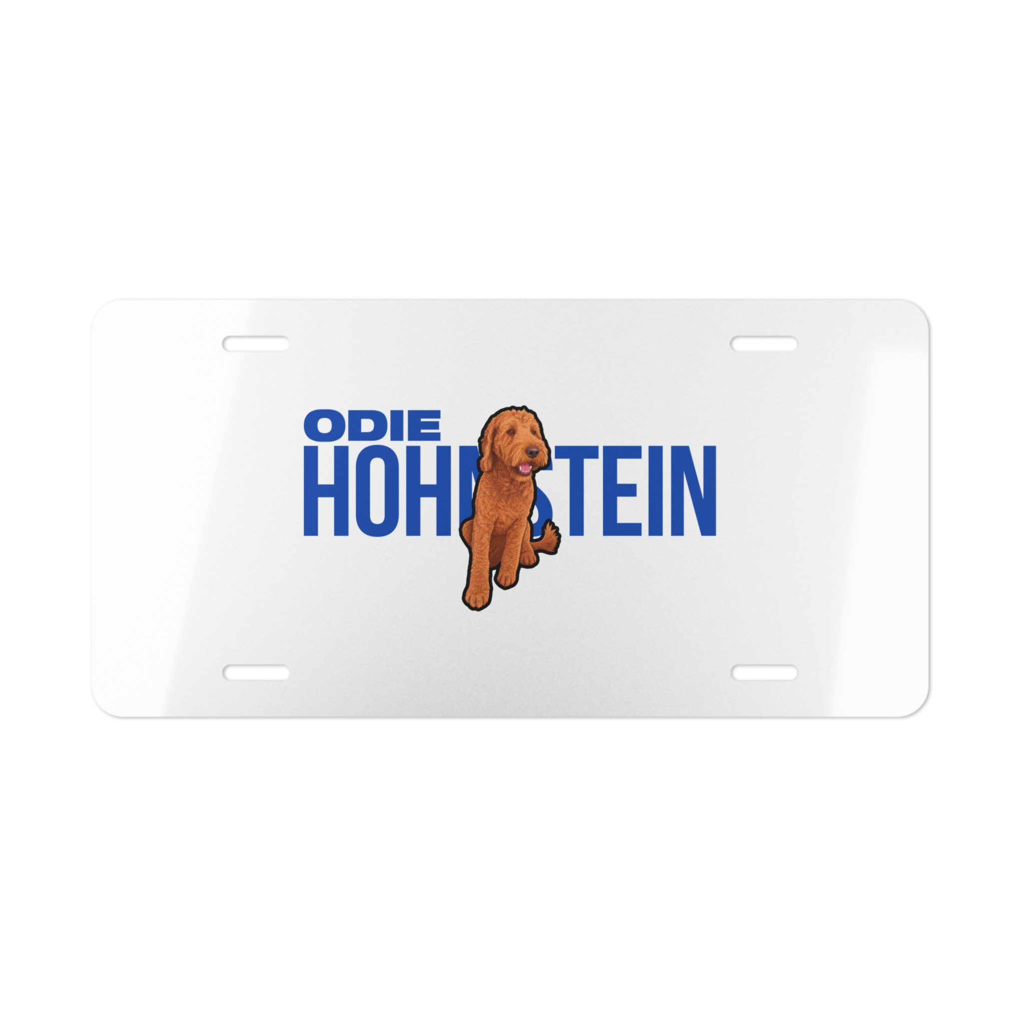 License Plate — character_player_name in Classic