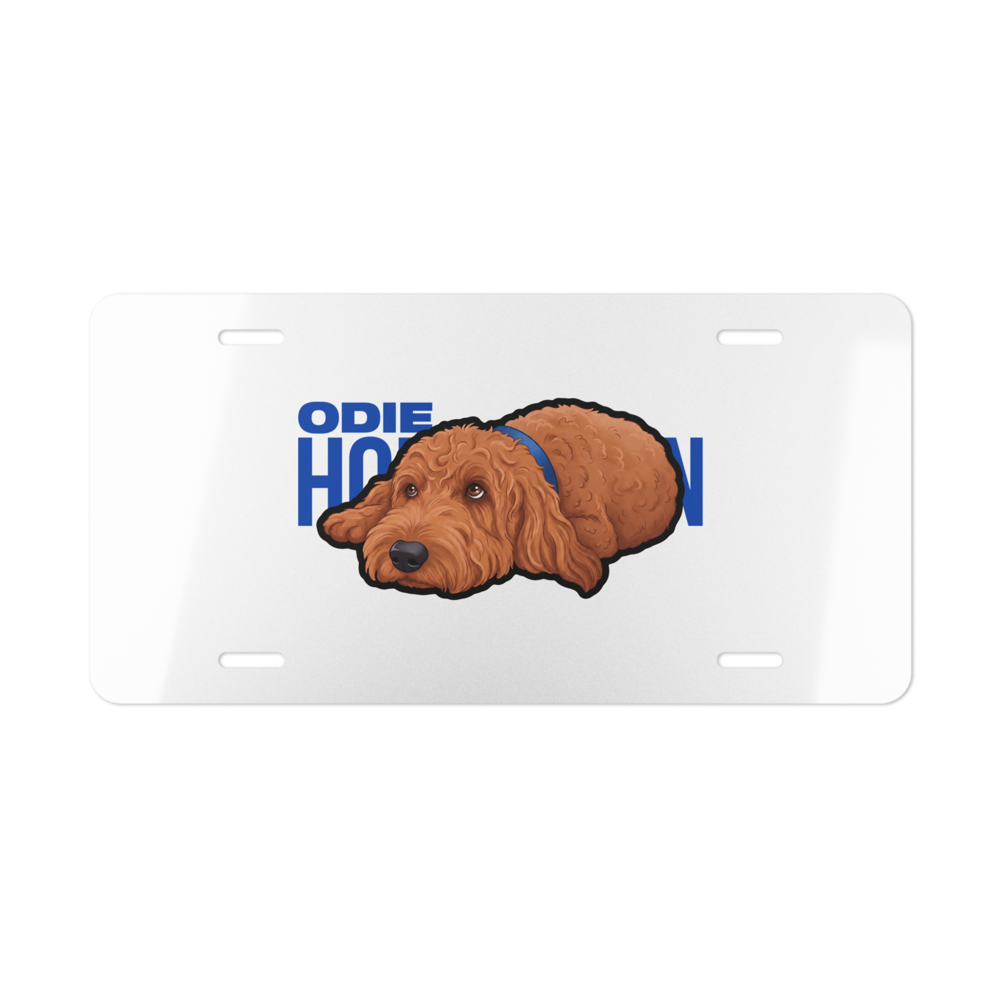 License Plate — character_player_name in Classic
