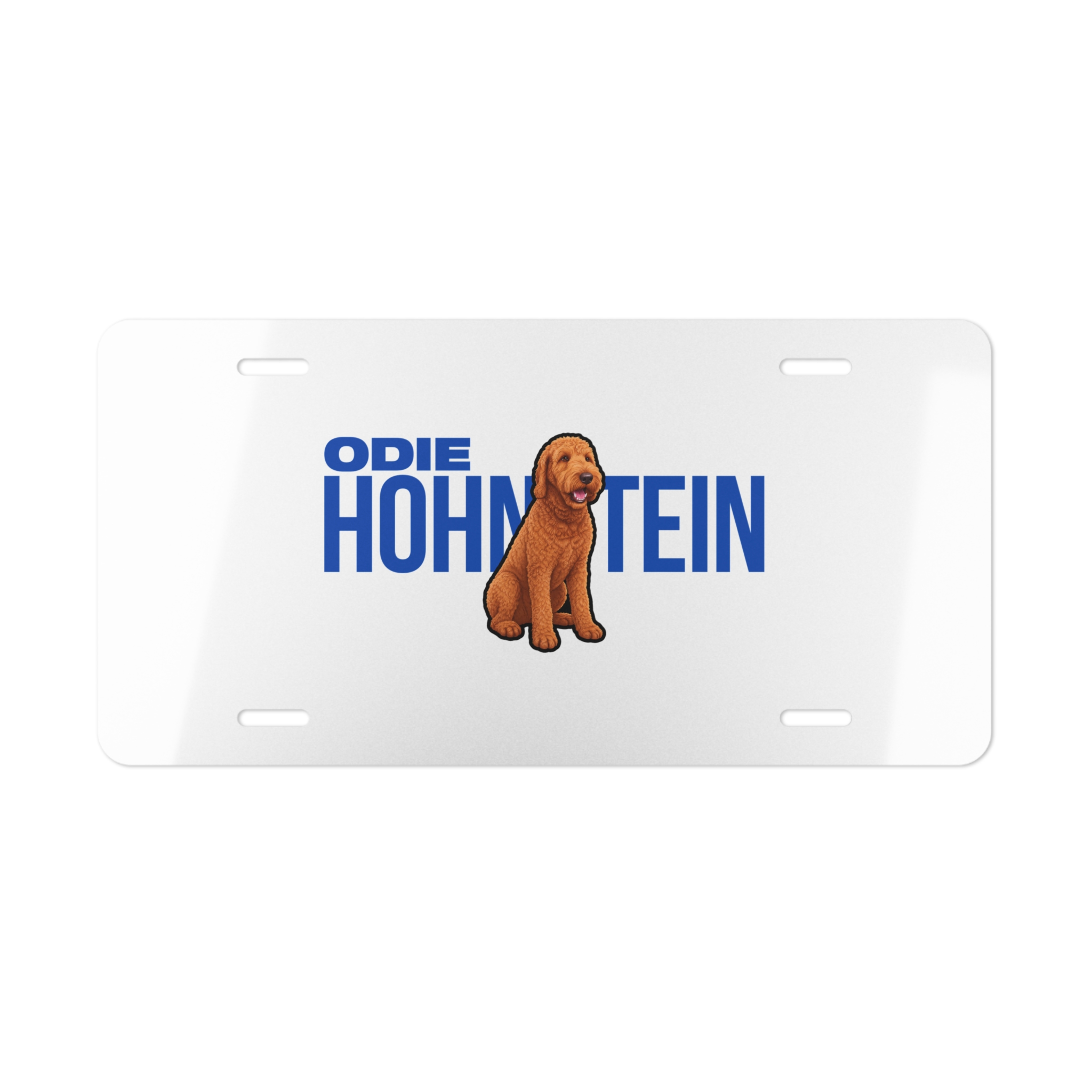 License Plate — character_player_name in Classic