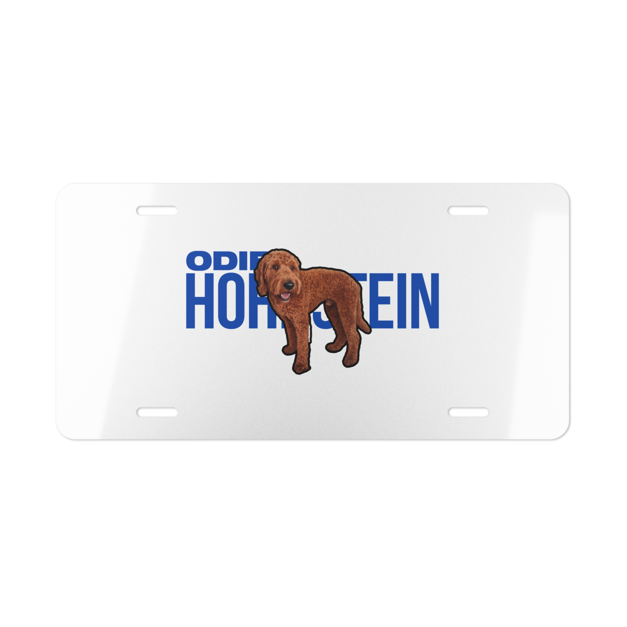 License Plate — character_player_name in Classic