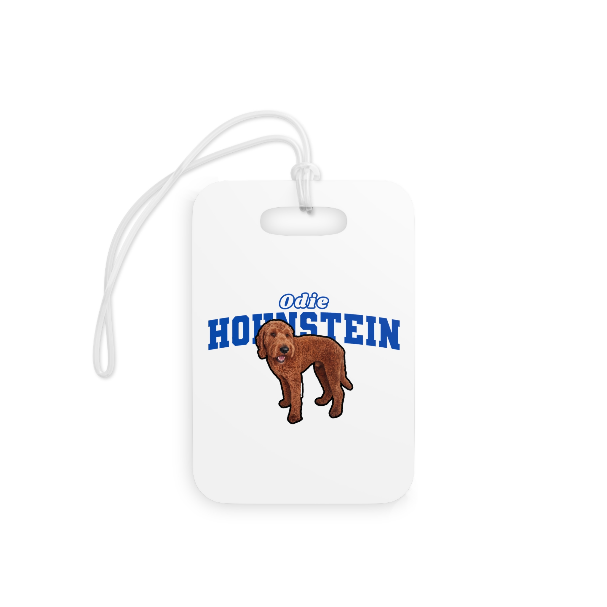 Glossy Luggage Tag