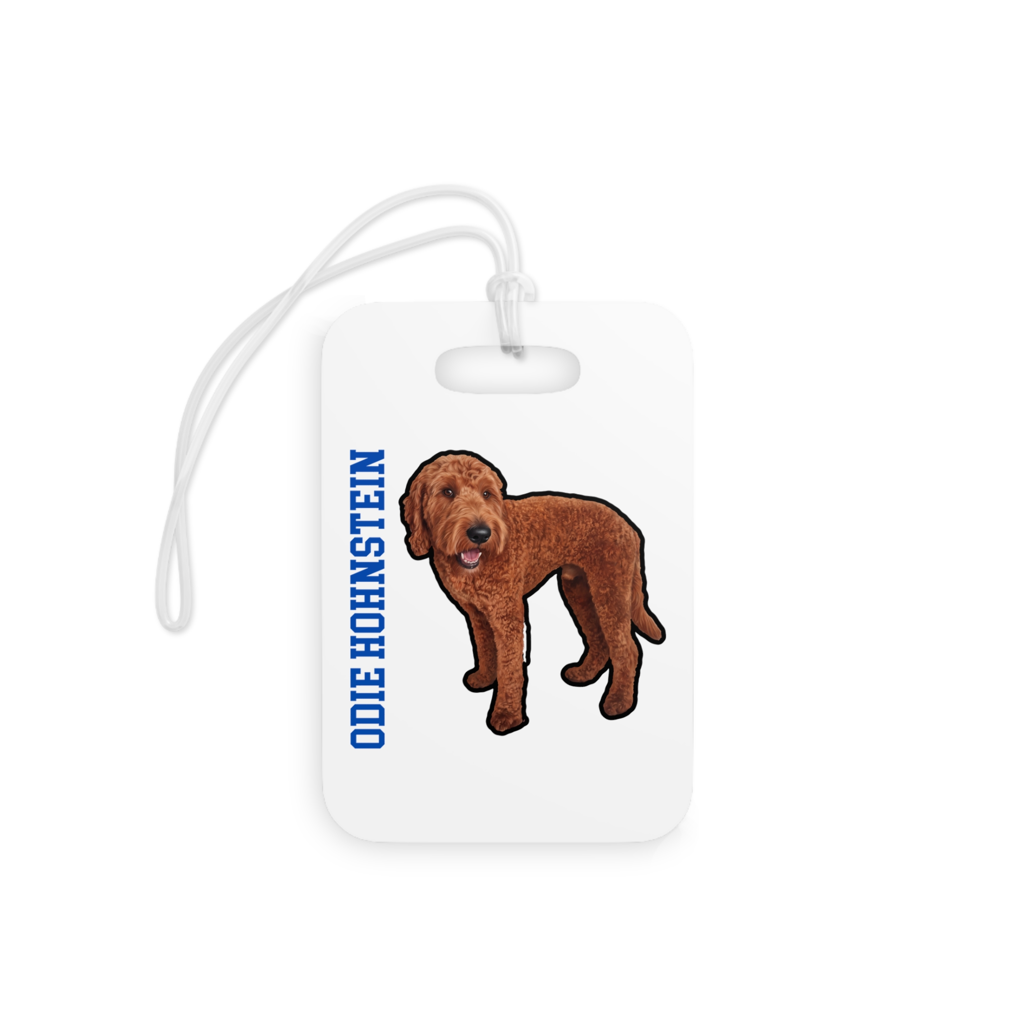 Glossy Luggage Tag — character_name_vertical in Classic
