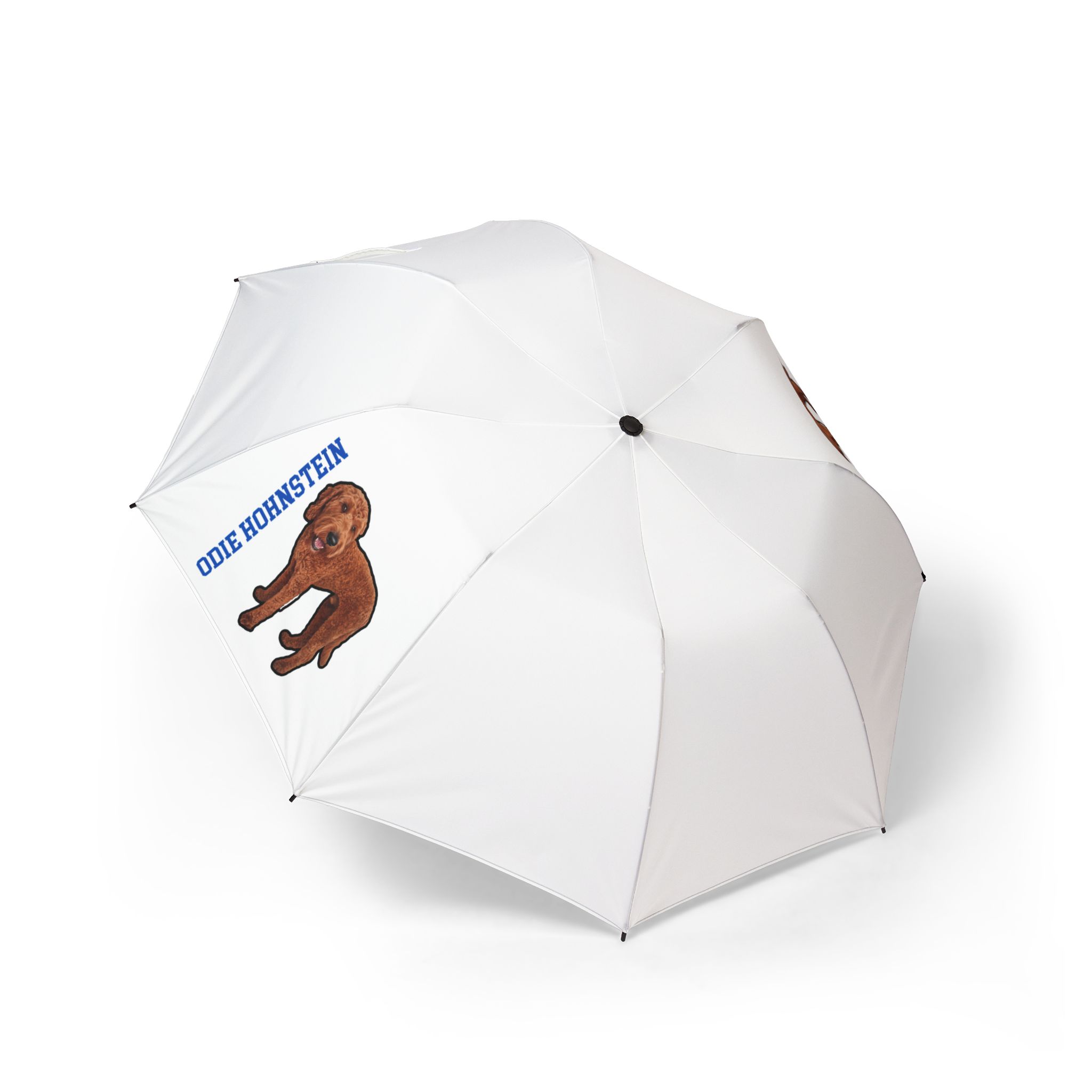 Foldable Umbrella — character_name_vertical in Classic
