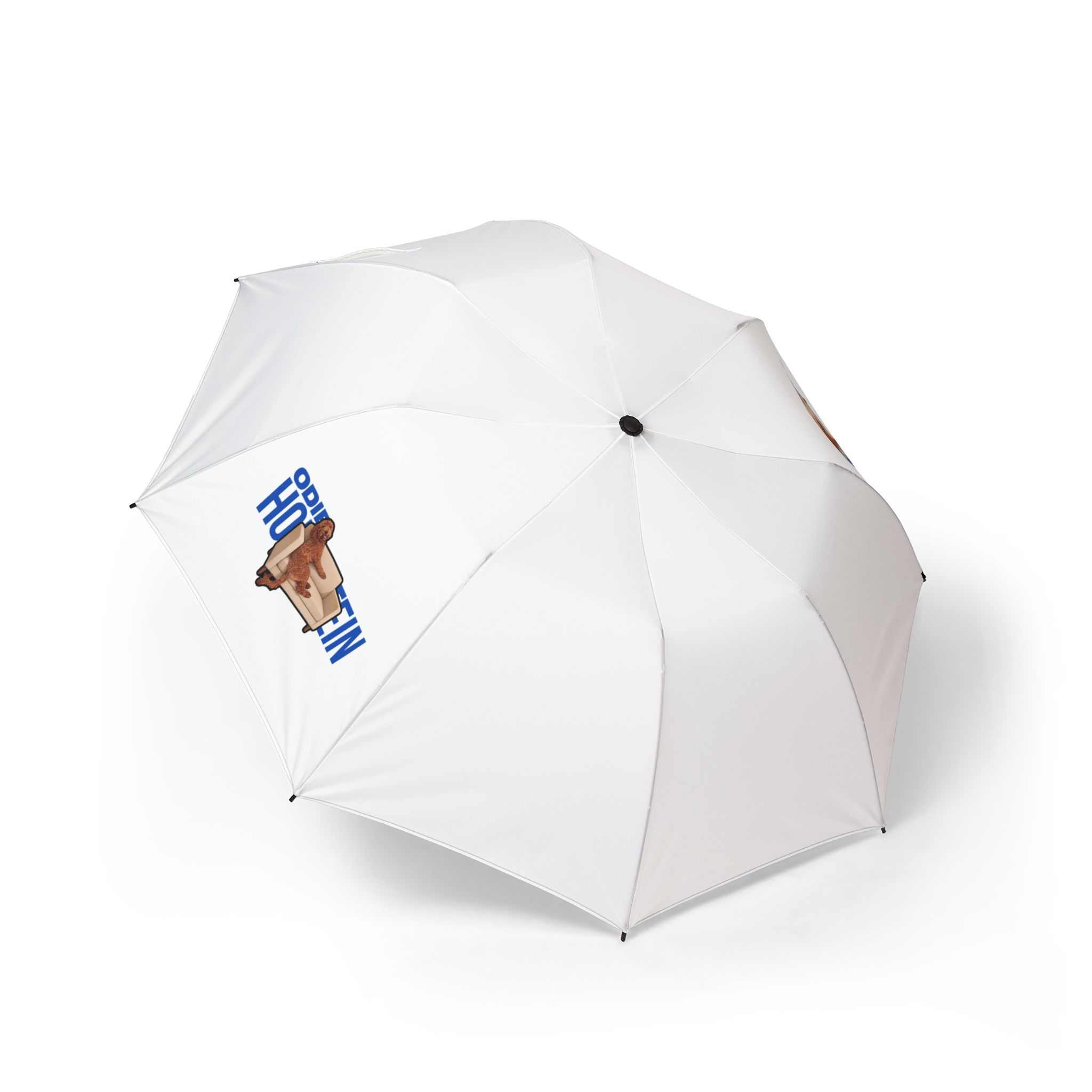 Foldable Umbrella — character_player_name in Classic