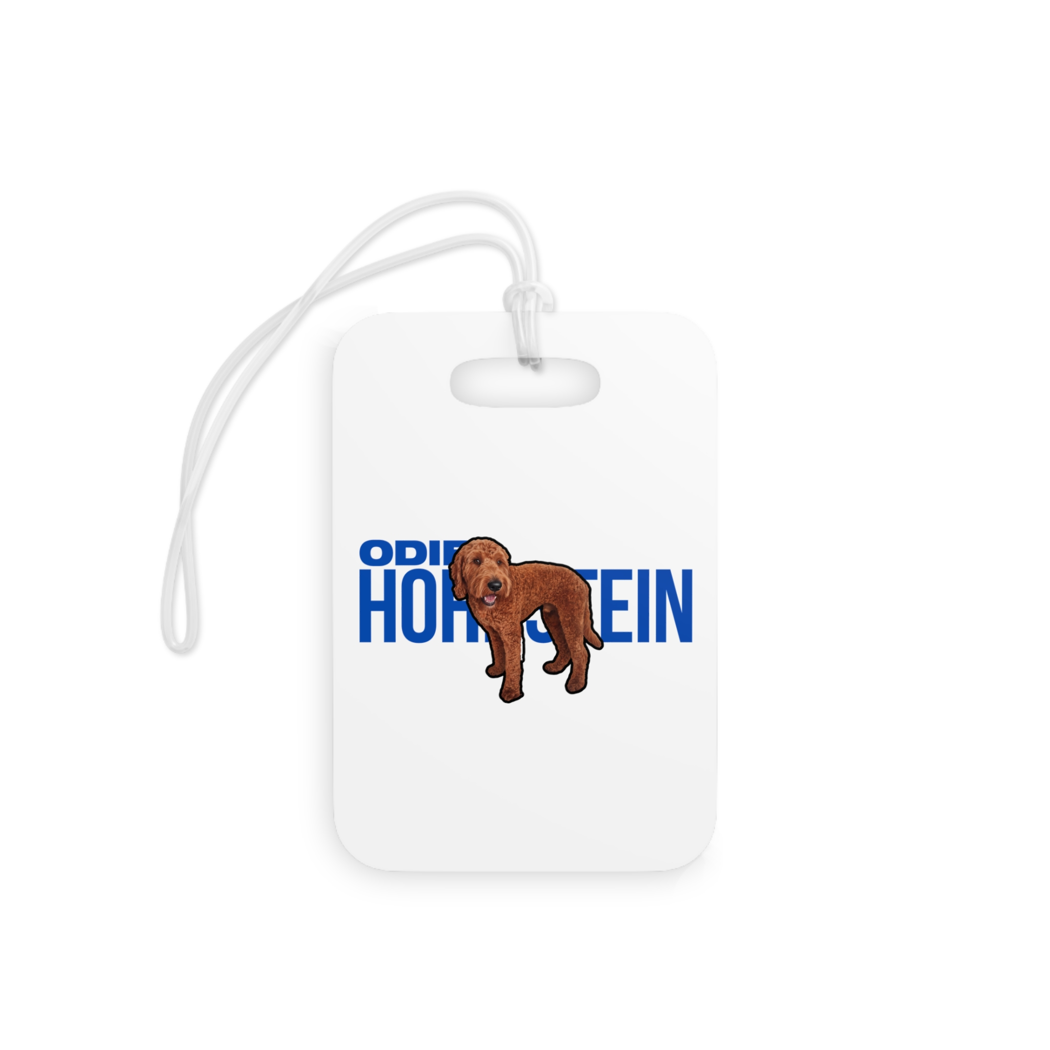 Glossy Luggage Tag — character_player_name in Classic