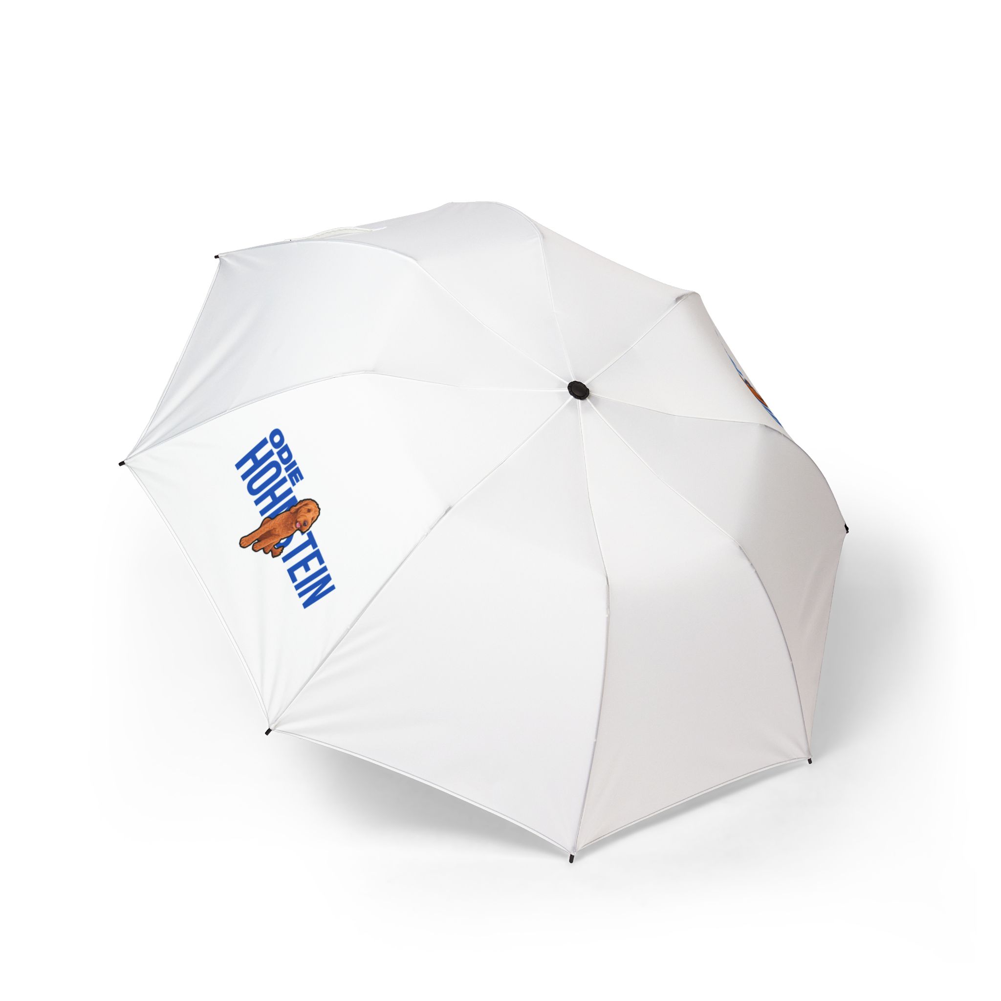 Foldable Umbrella — character_player_name in Classic