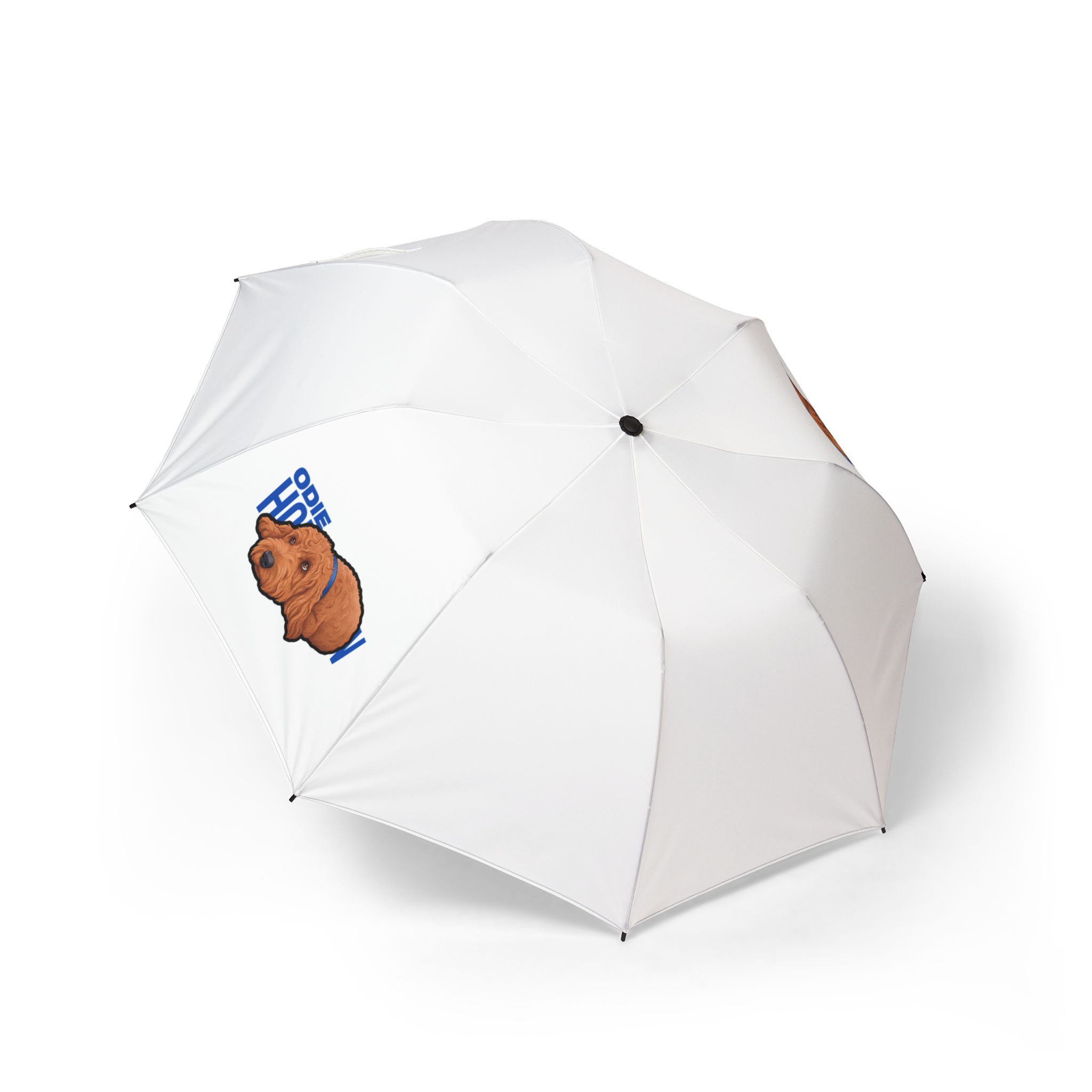 Foldable Umbrella — character_player_name in Classic